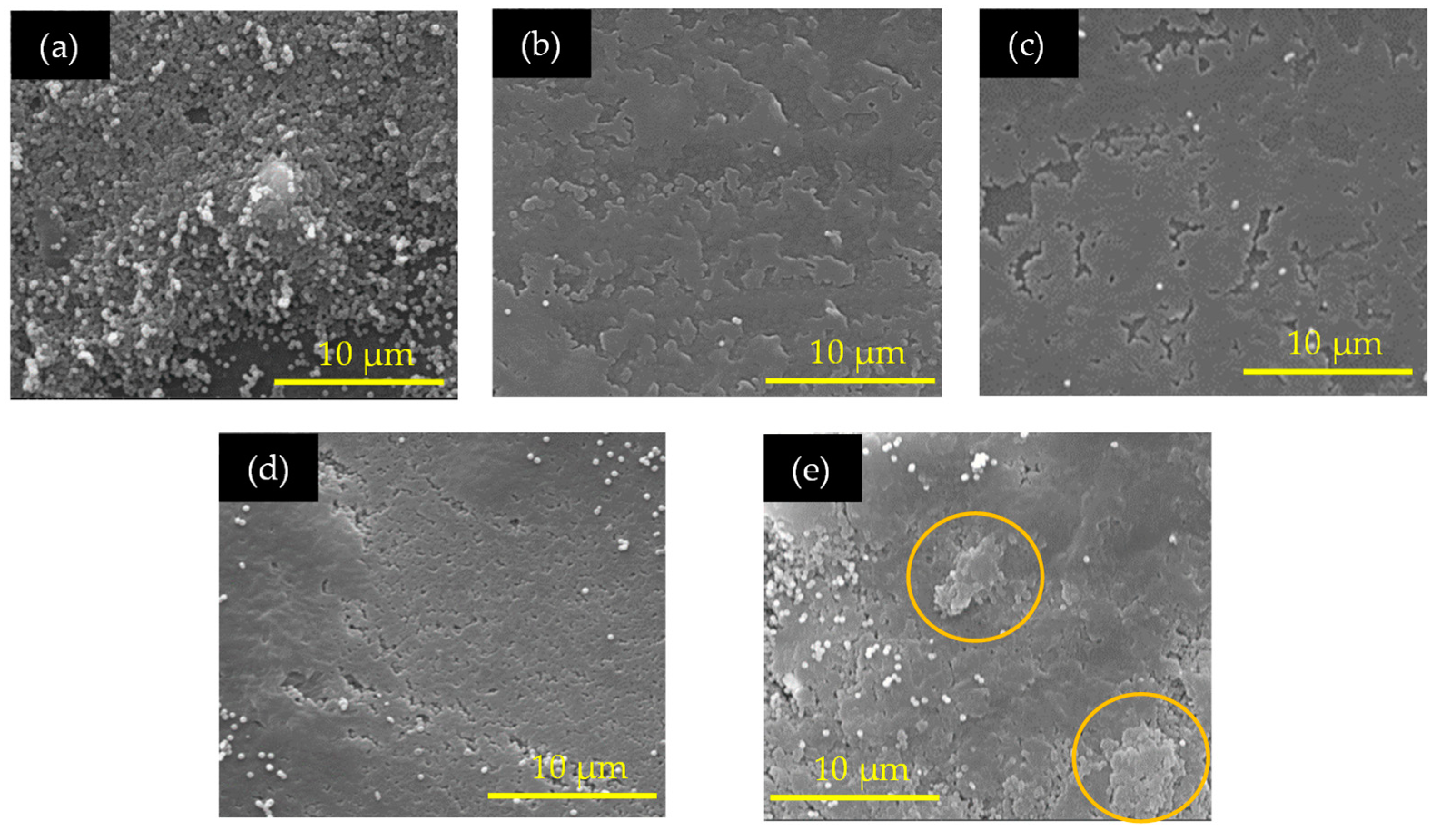 Sensors 24 02694 g006