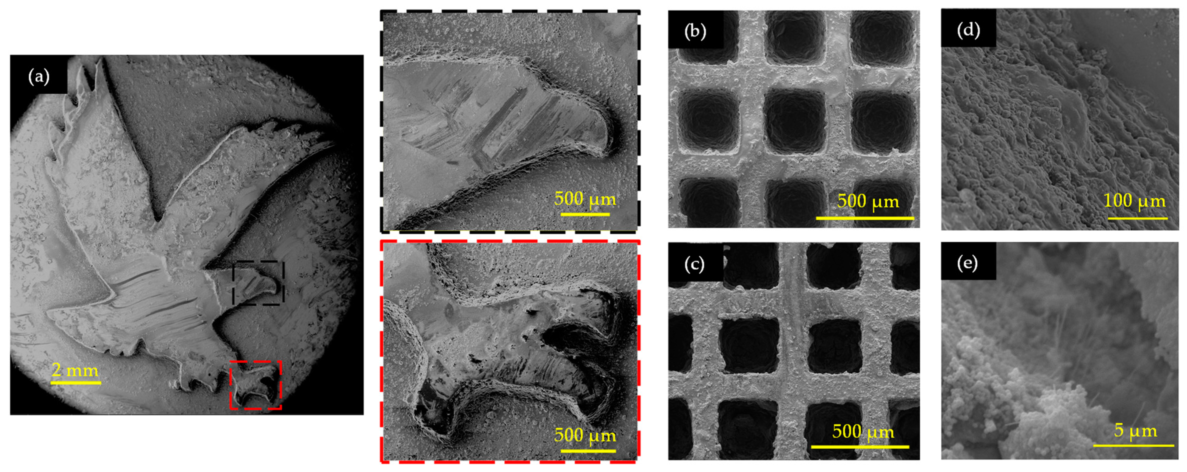 Sensors 24 02694 g007