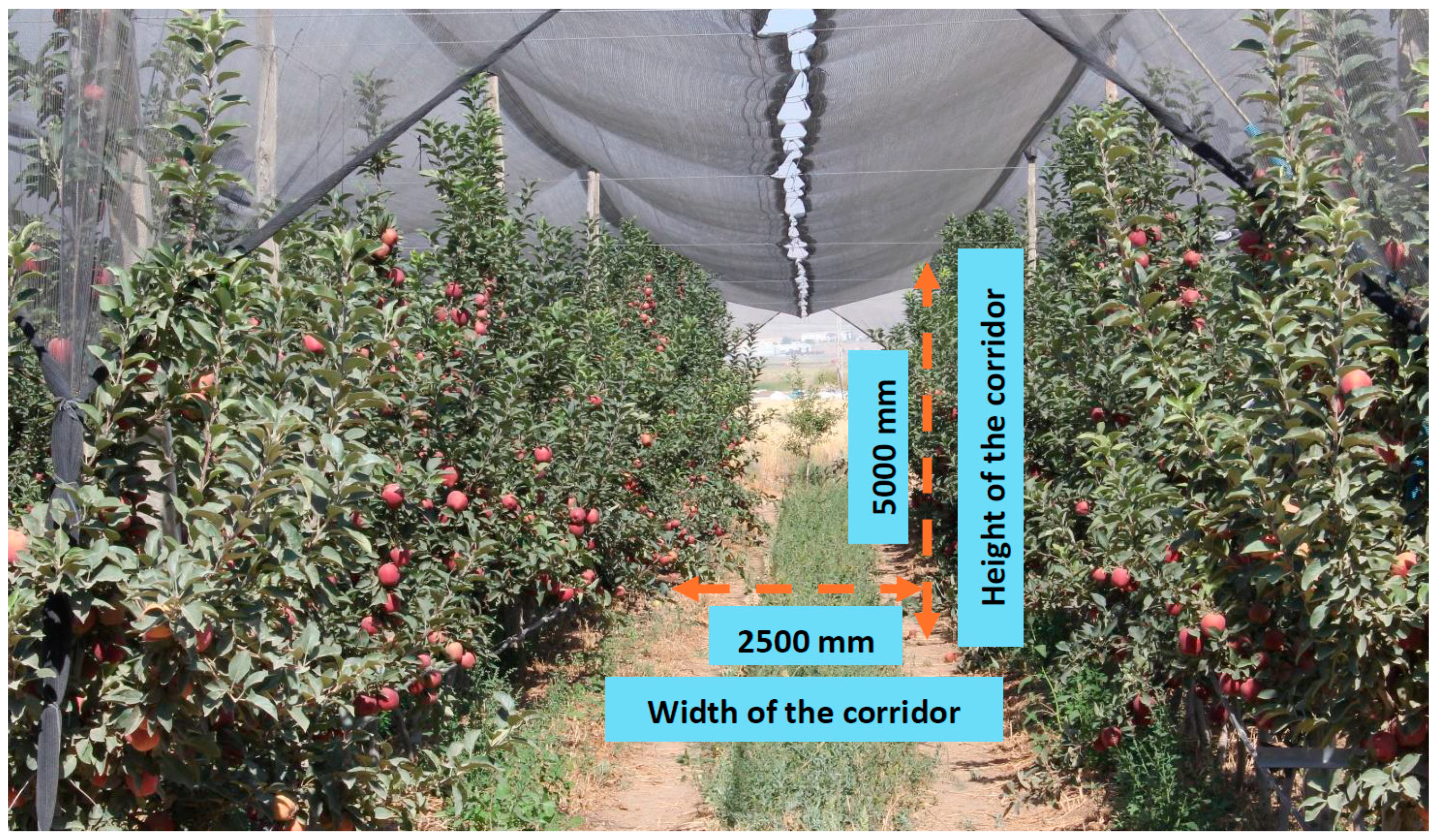 Sensors 24 02752 g001