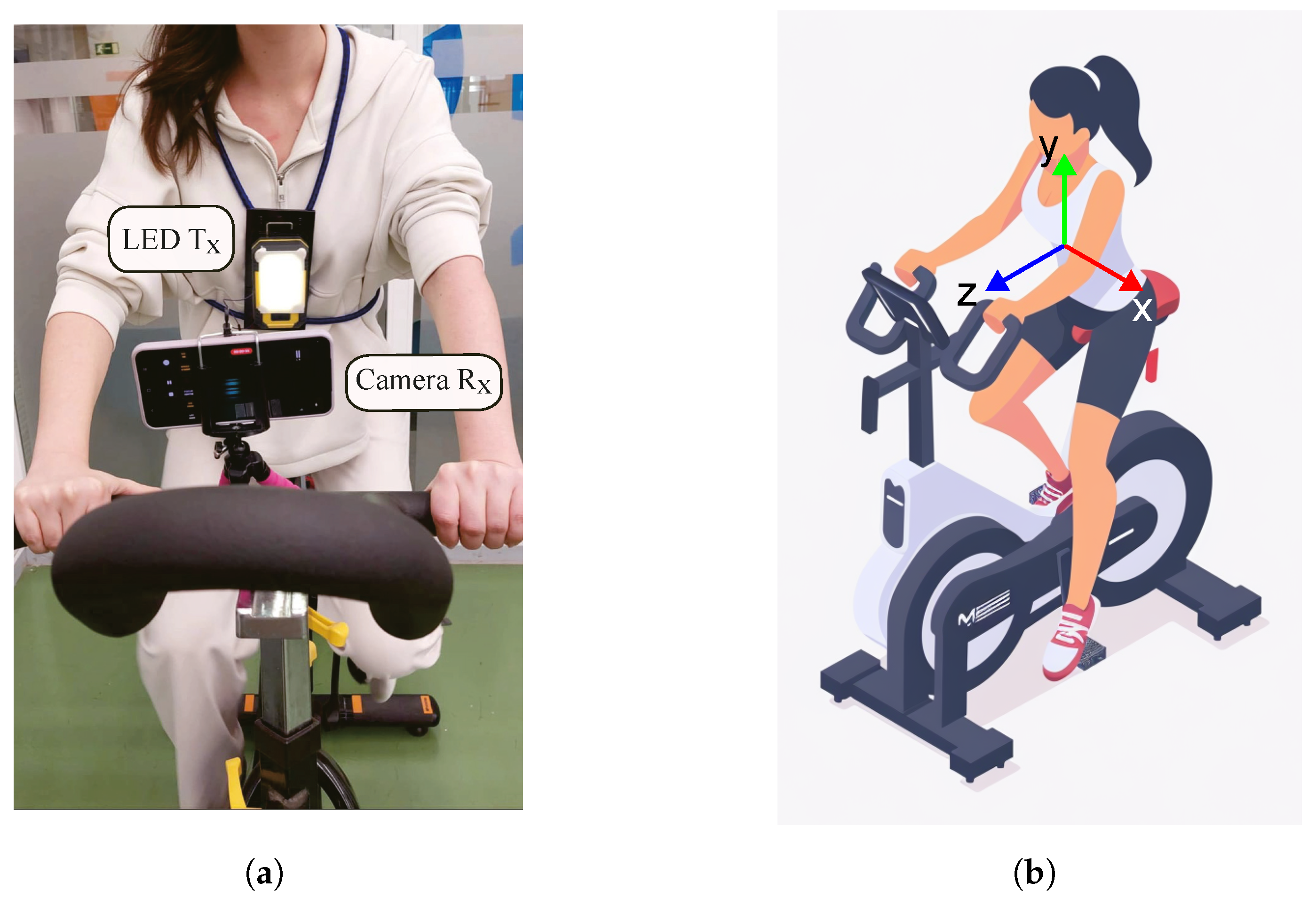 Sensors 24 02766 g002