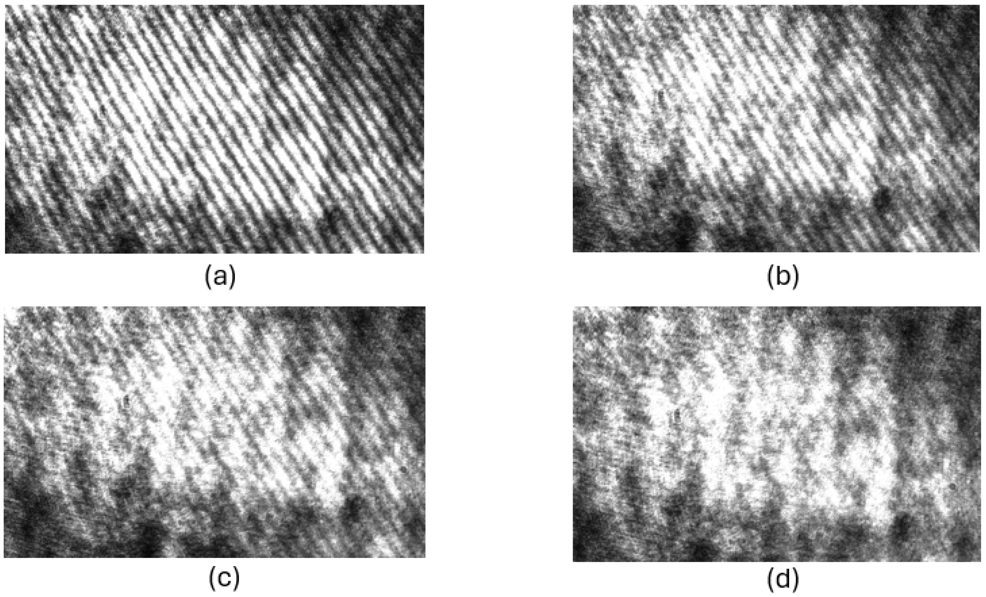 Sensors 24 02774 g006