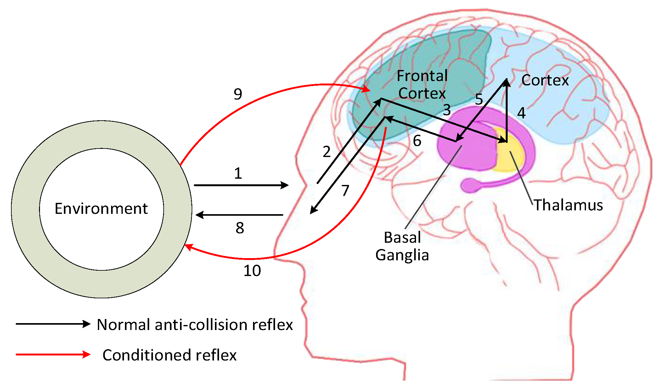 Sensors 24 02790 g001 Sensors 24 02790 g001