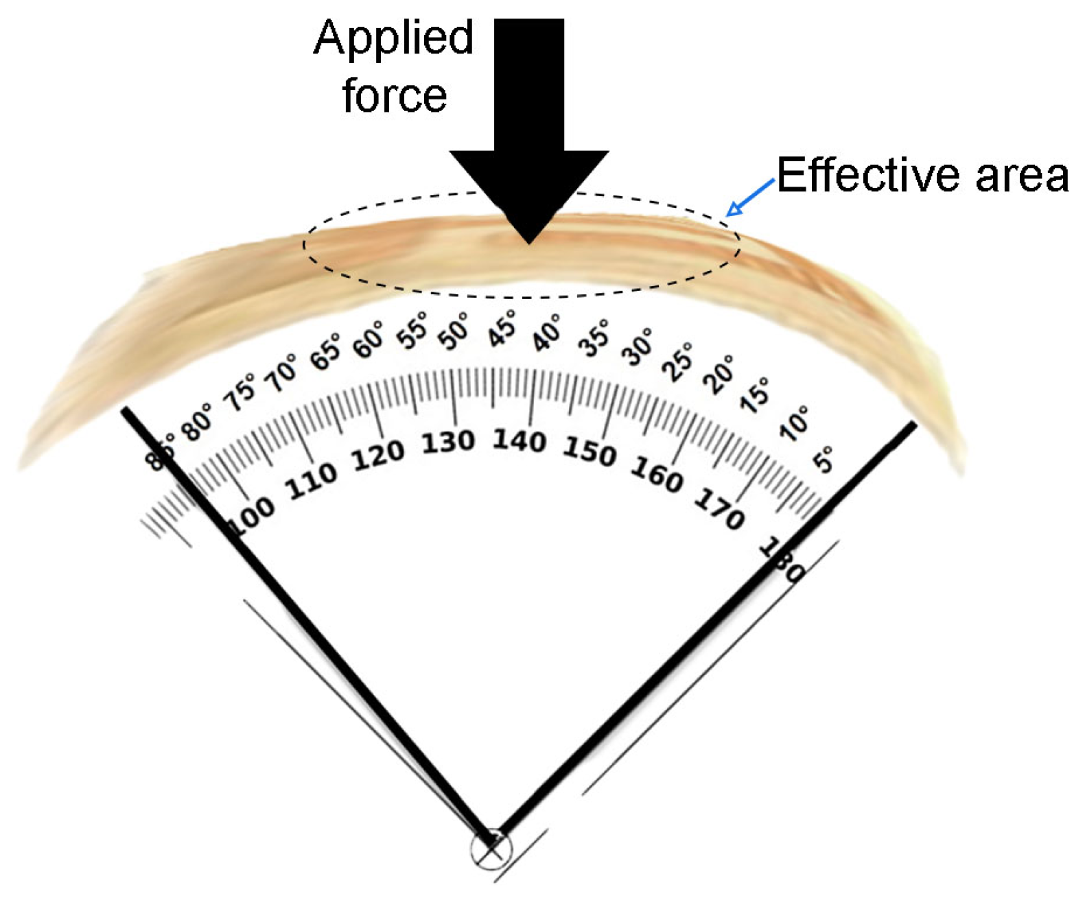 Sensors 24 02819 g014
