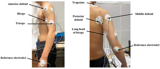 マトリックス BCLAF1 and its splicing regulator SRSF10 regulate the