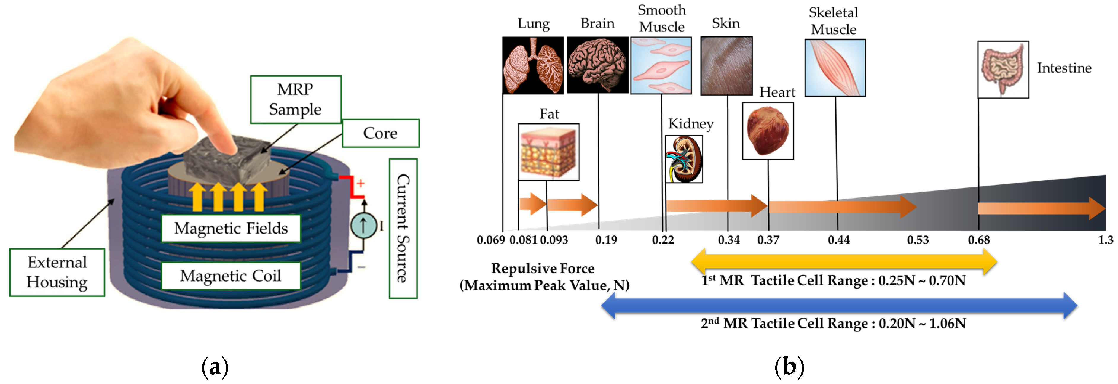 Sensors 24 02842 g007