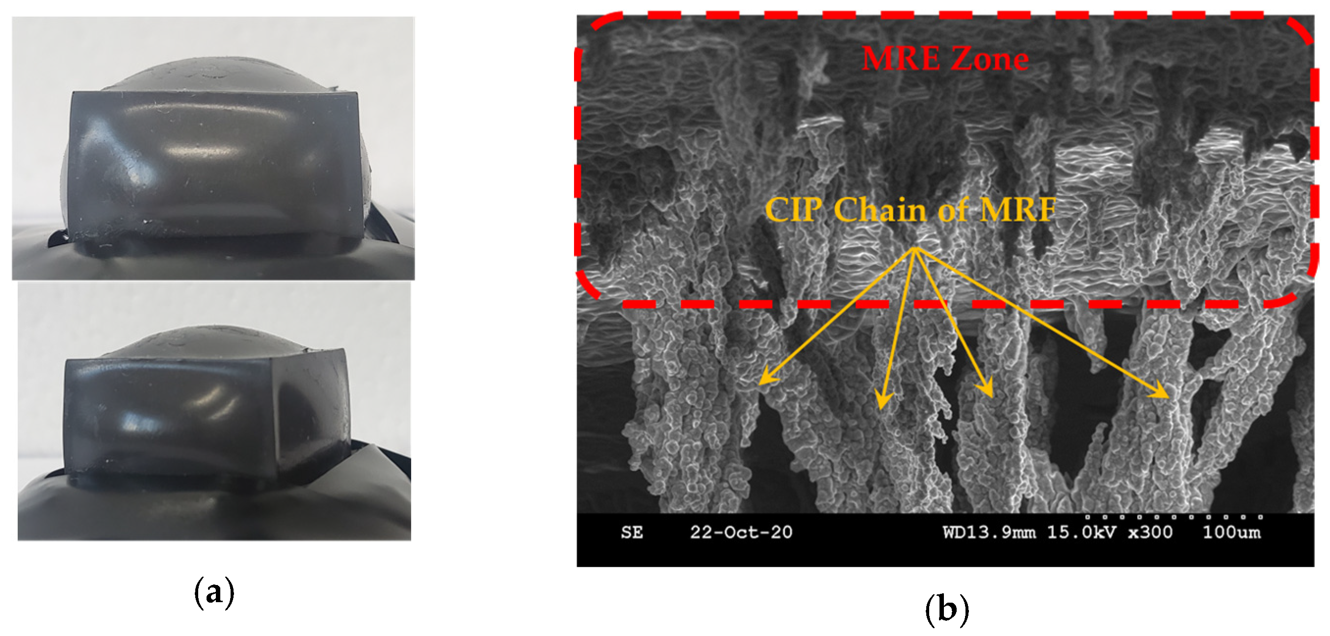 Sensors 24 02842 g008