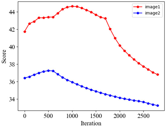 Self-Supervised Joint Learning for pCLE Image Denoising
