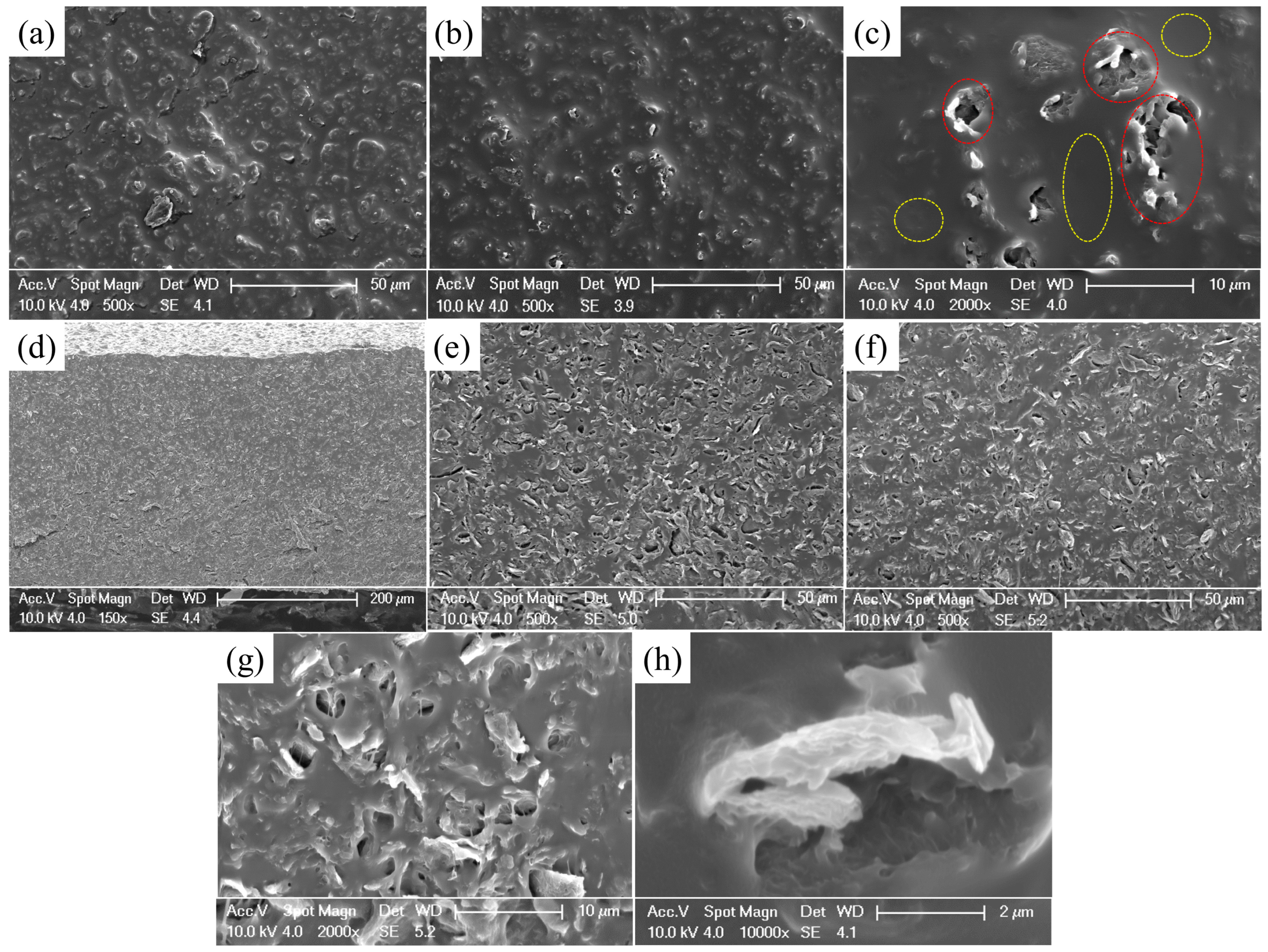 Sensors 24 02856 g003