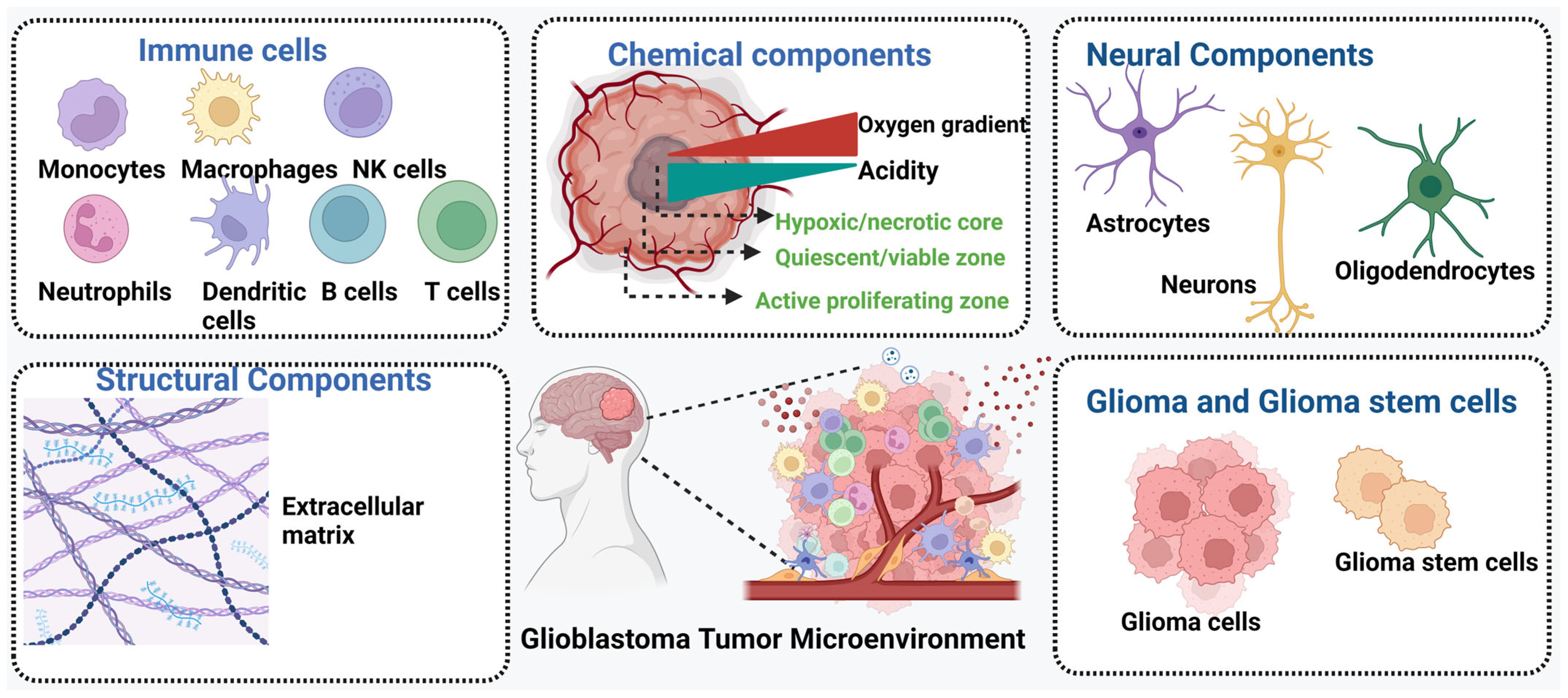 Sensors 24 02865 g001