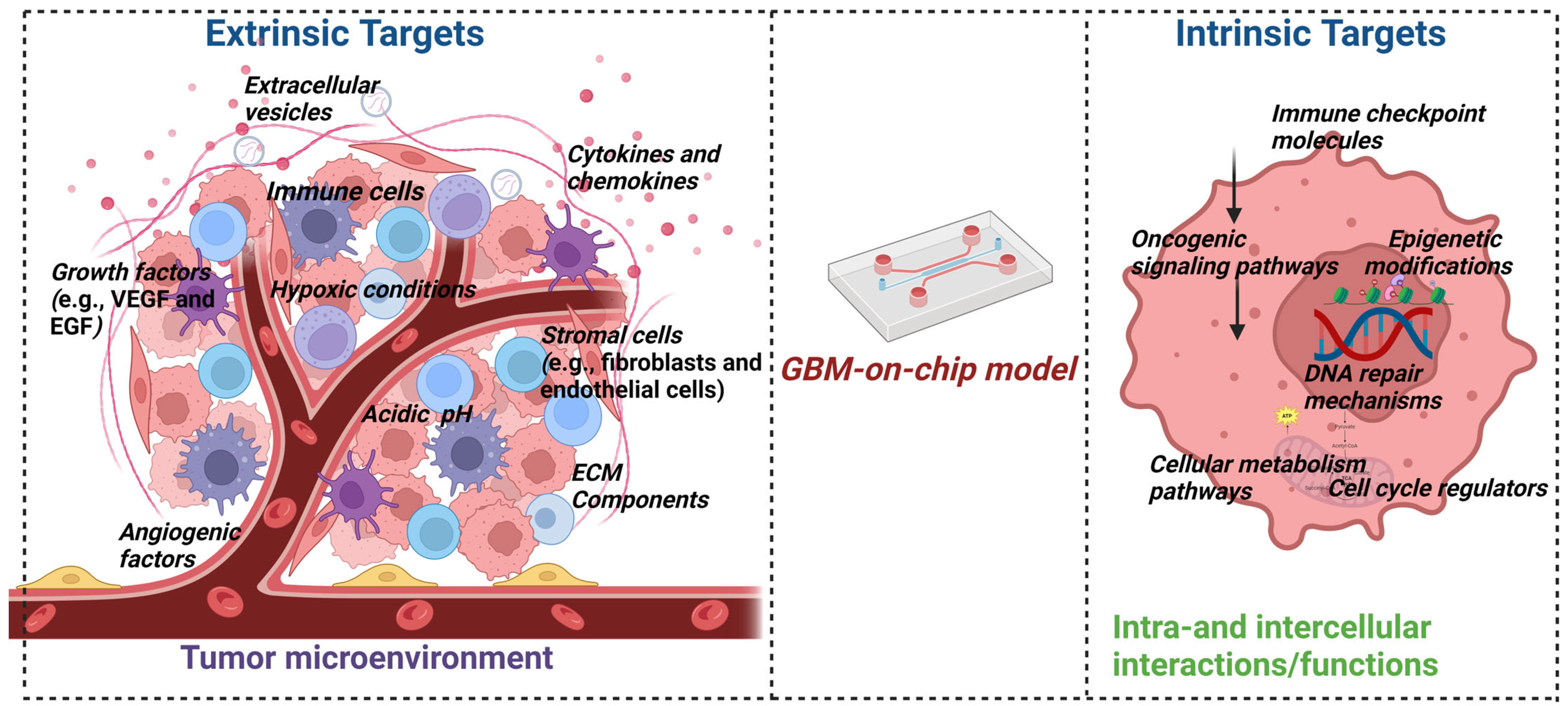 Sensors 24 02865 g004