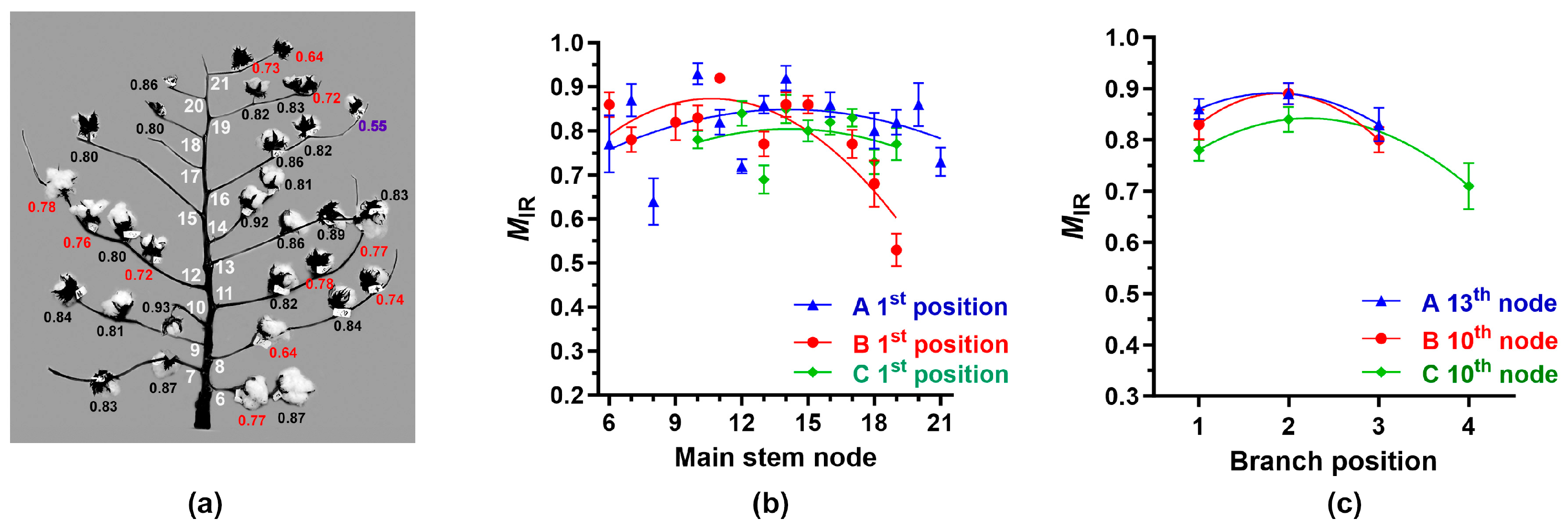 Sensors 24 02888 g004