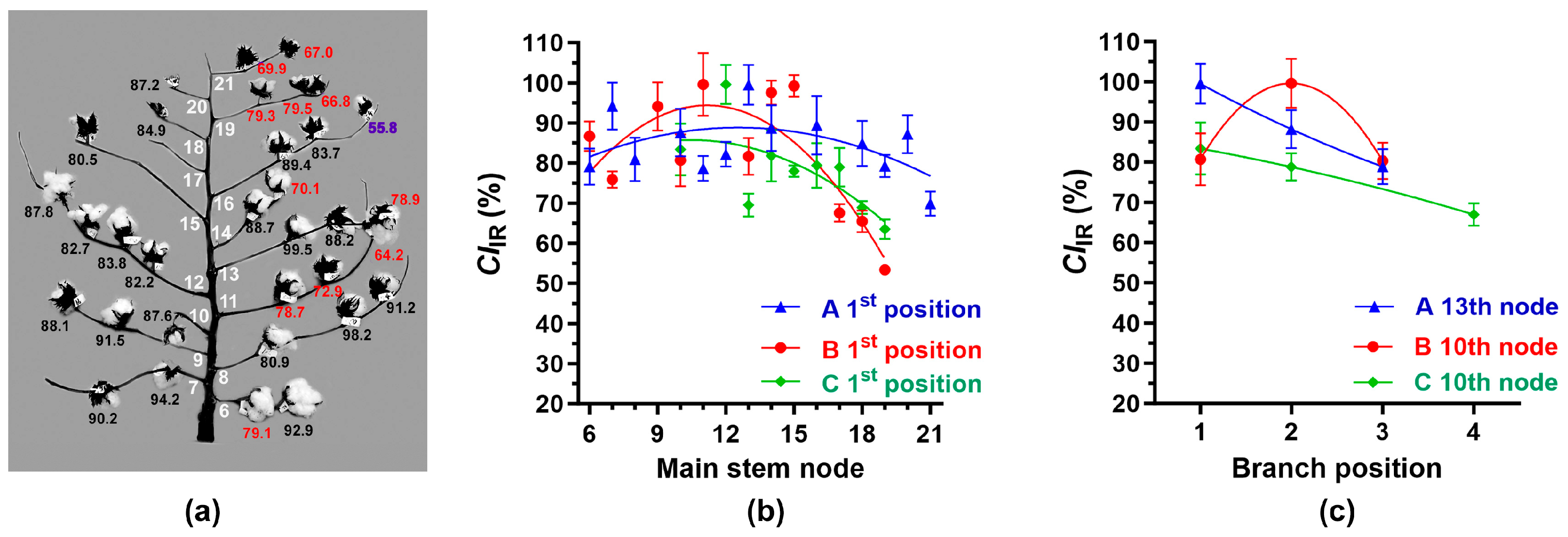 Sensors 24 02888 g005
