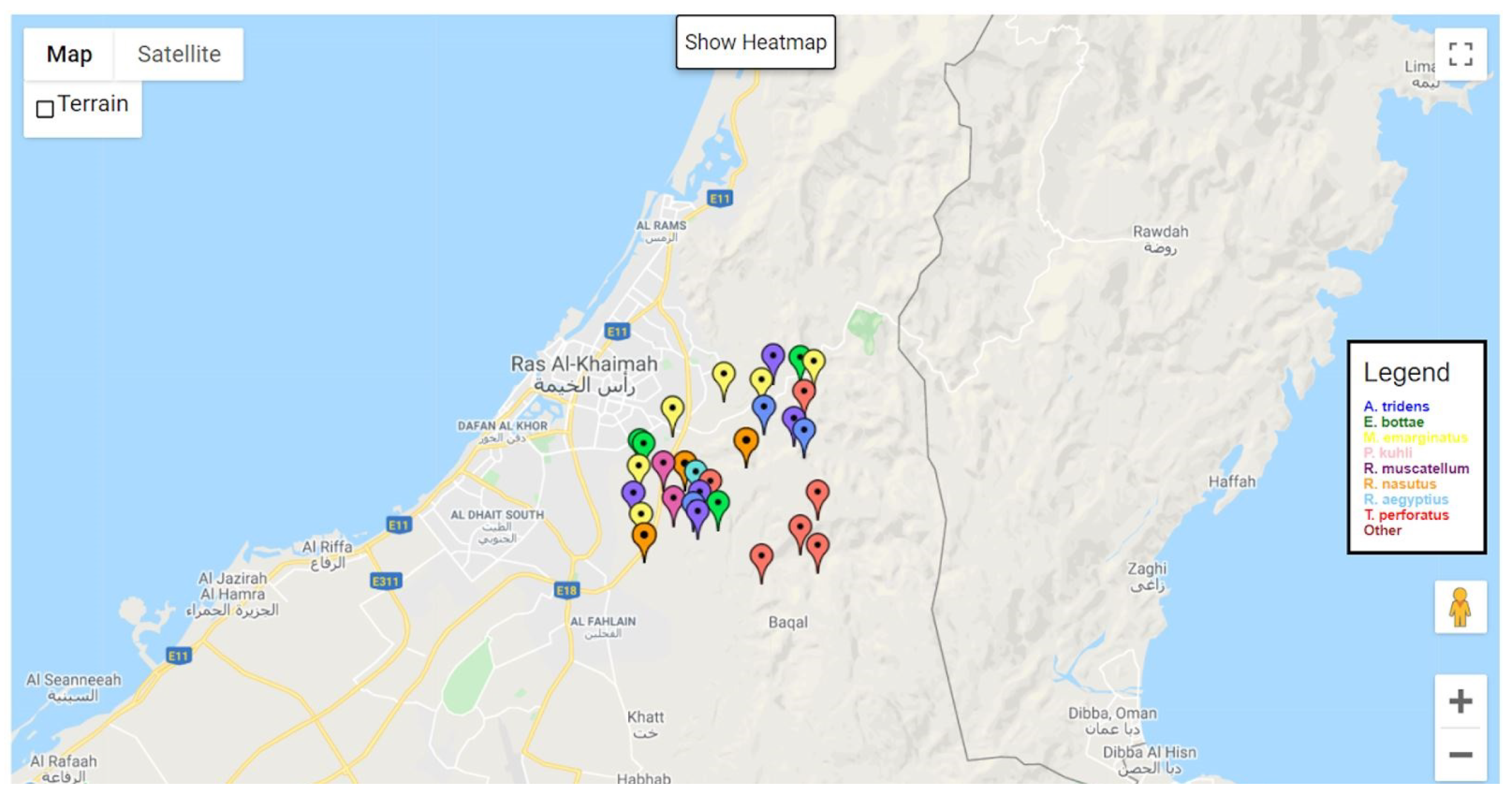 Sensors 24 02899 g013