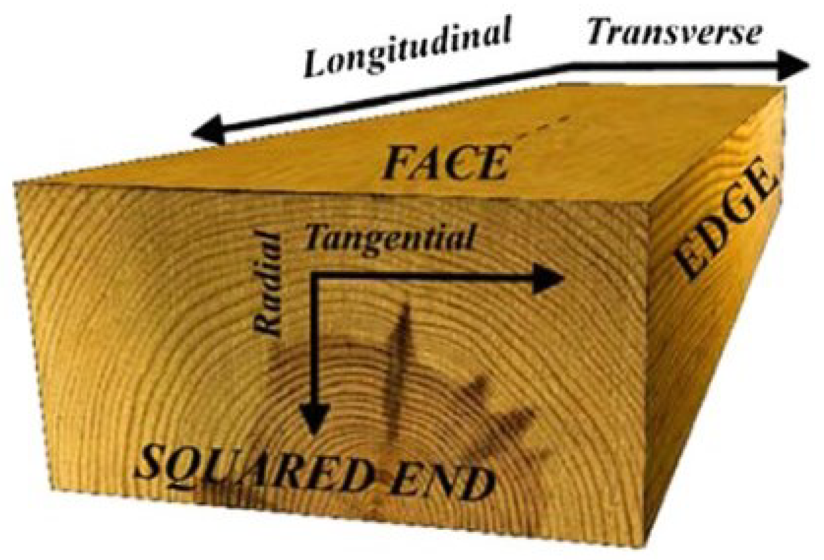 Sensors 24 02901 g002 Sensors 24 02901 g002