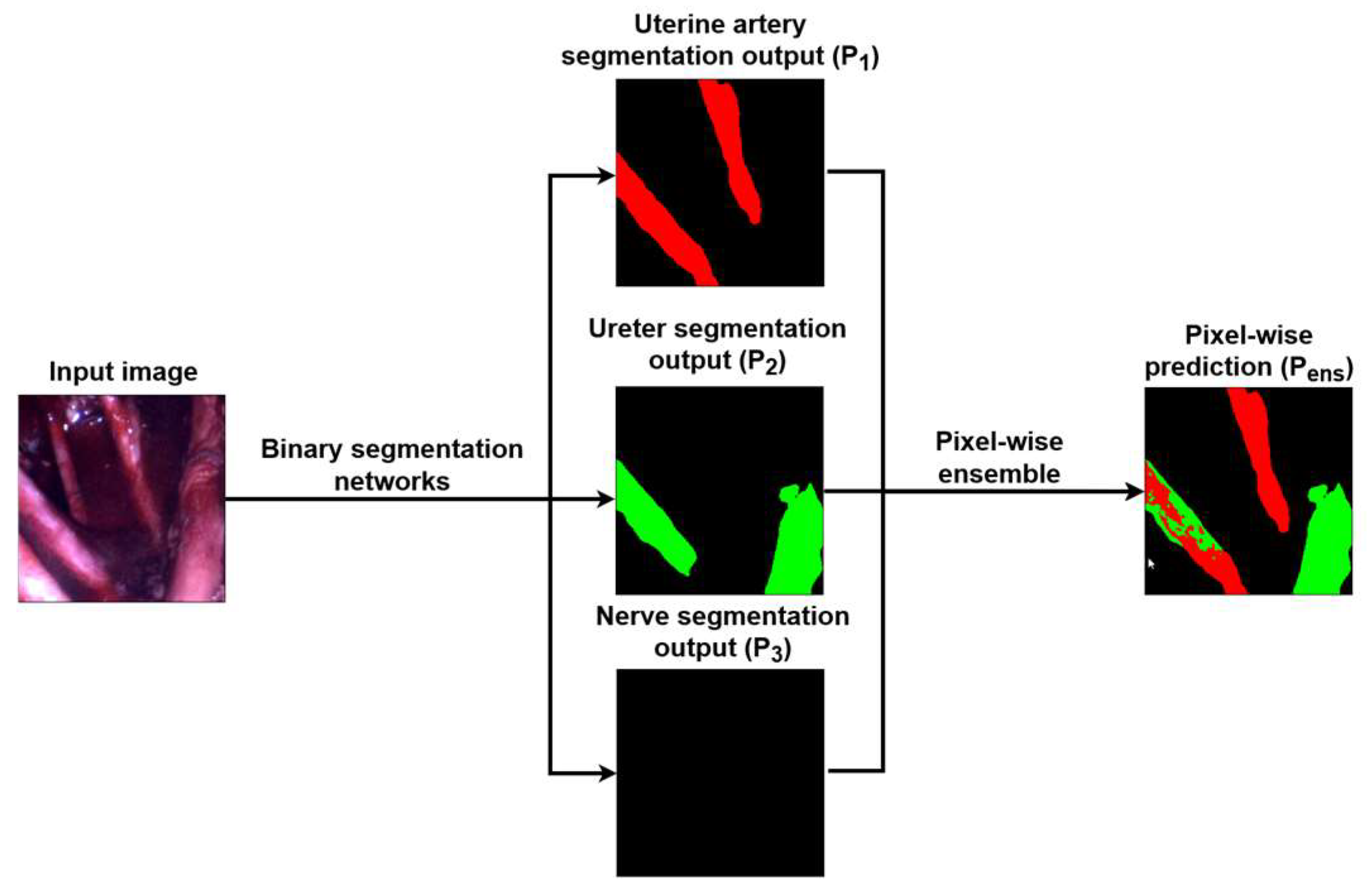 Sensors 24 02926 g003