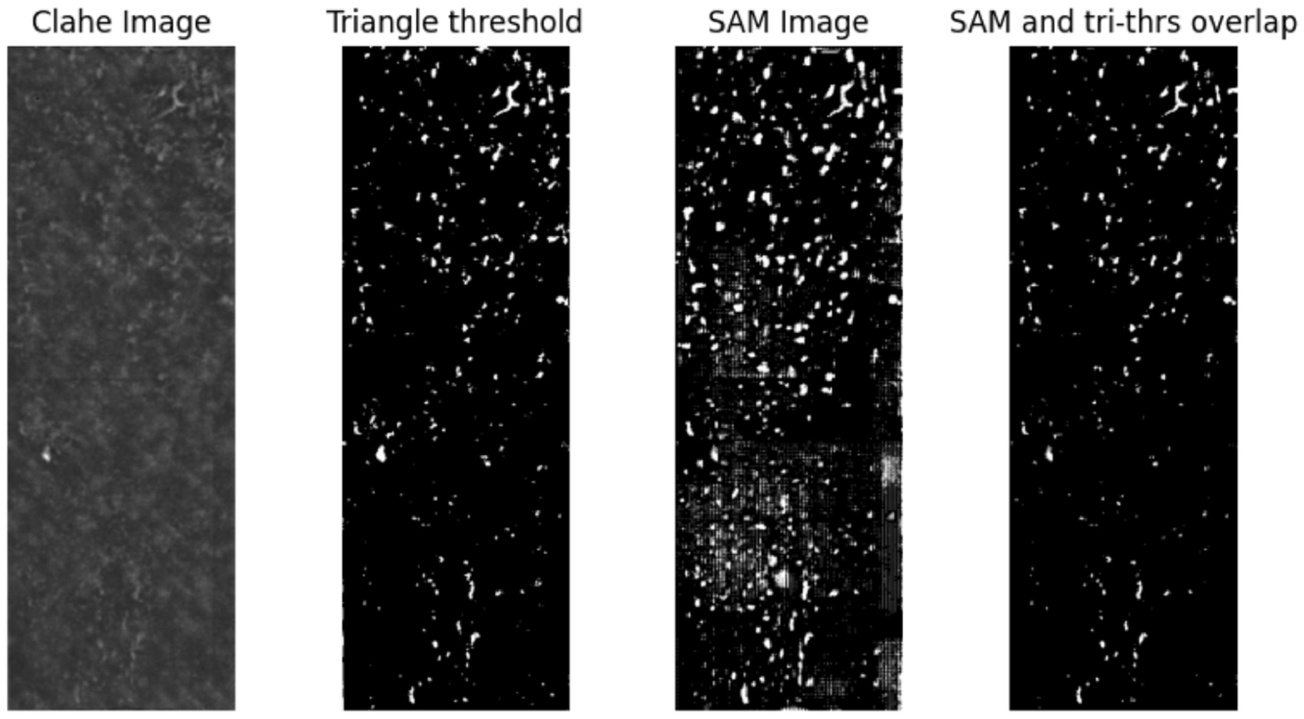 Sensors 24 02933 g023