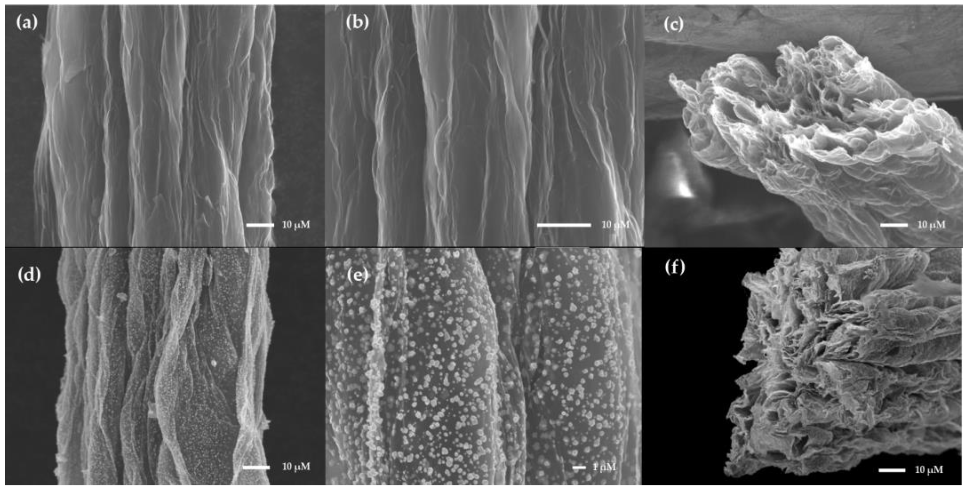 Sensors 24 02934 g002