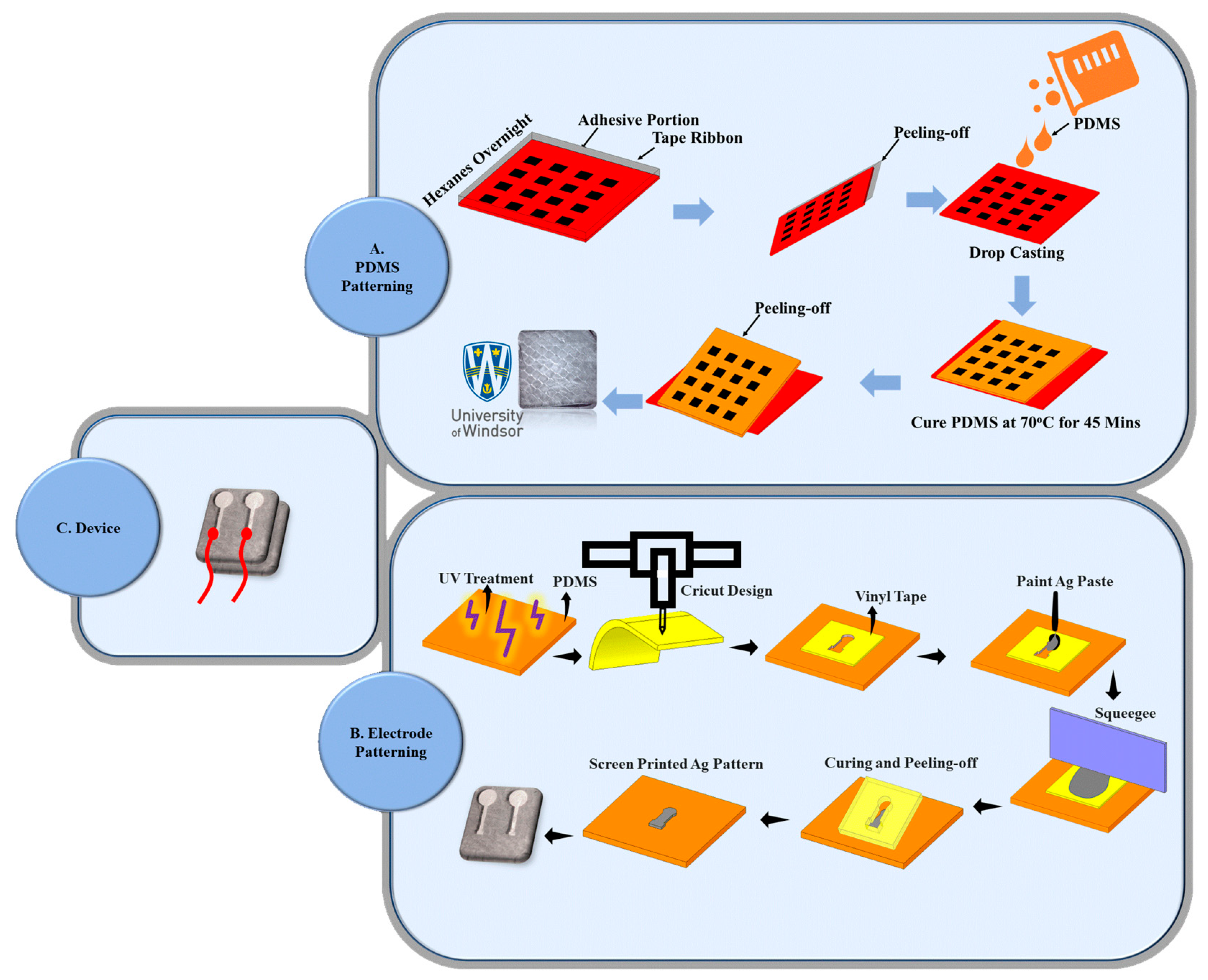 Sensors 24 02944 g002