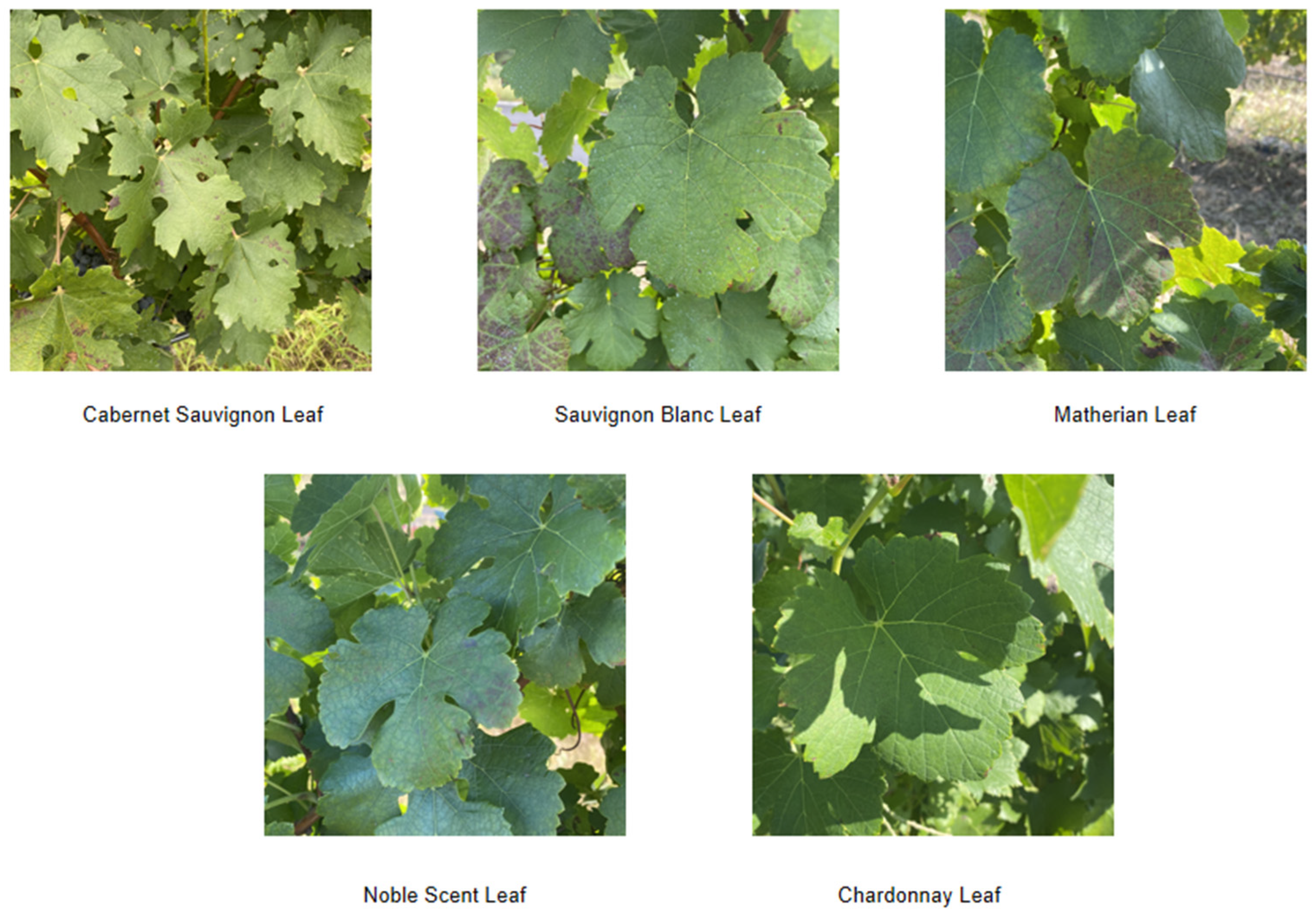 Sensors 24 02953 g002