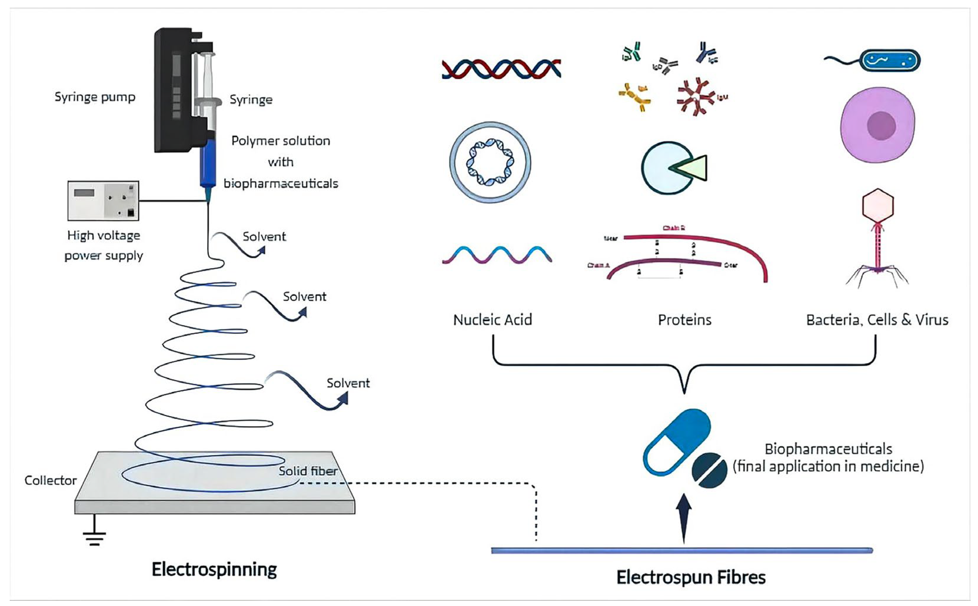 Sensors 24 02962 g003