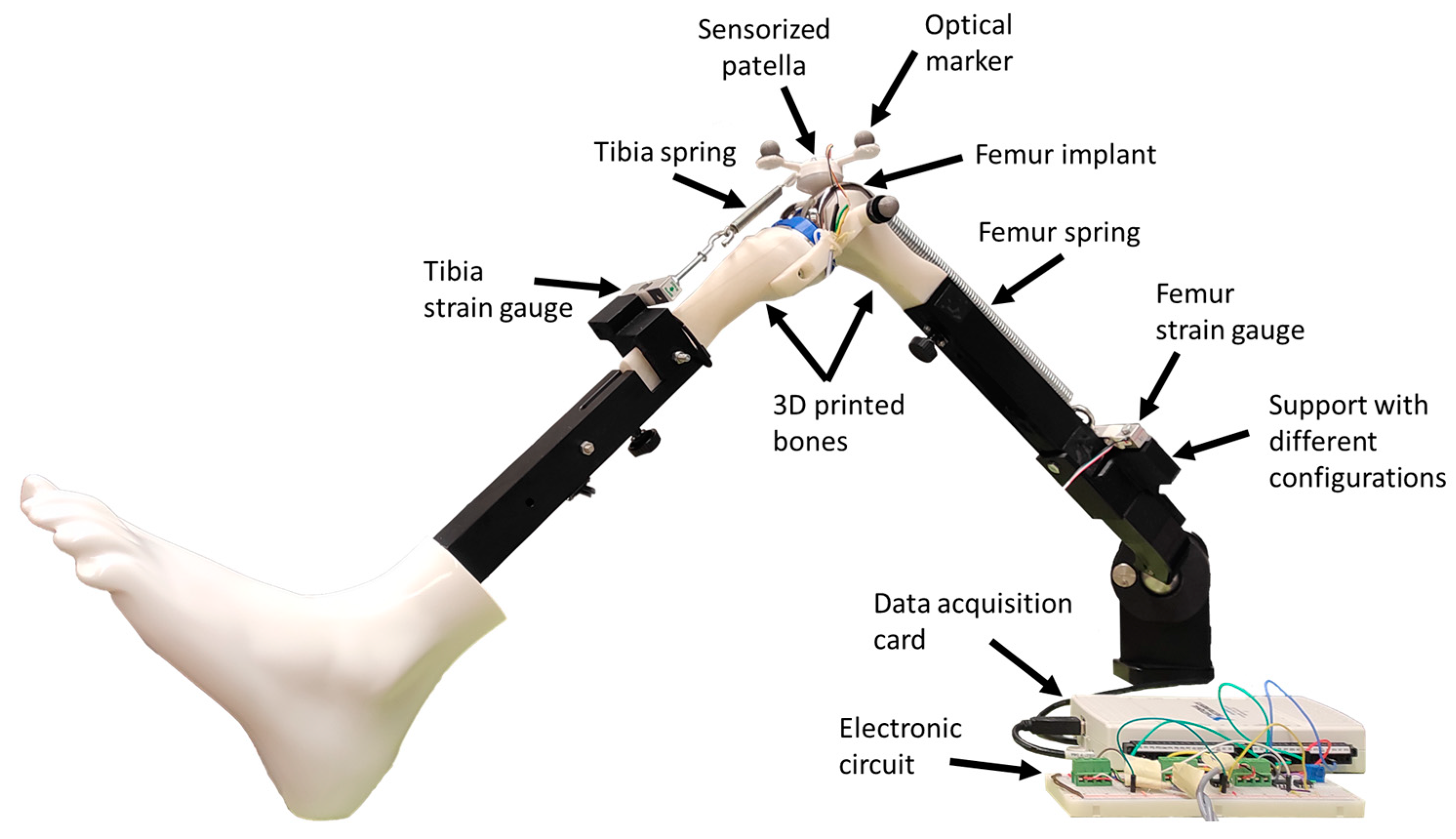 Sensors 24 03042 g001
