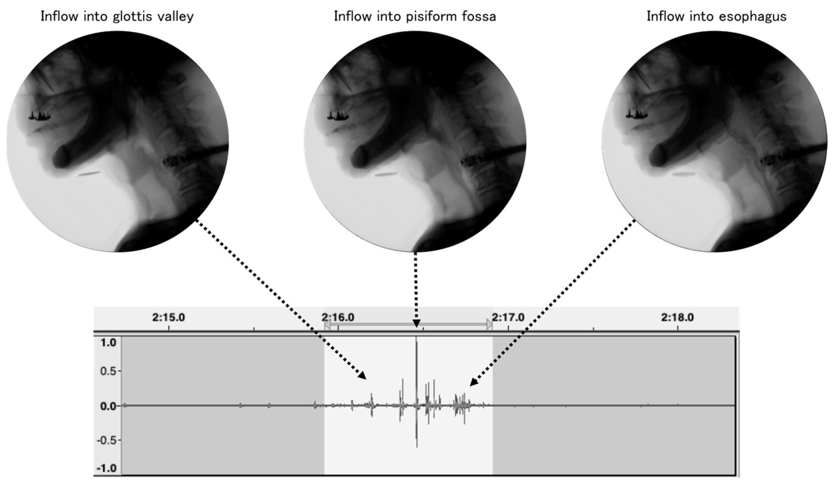 Sensors 24 03057 g001