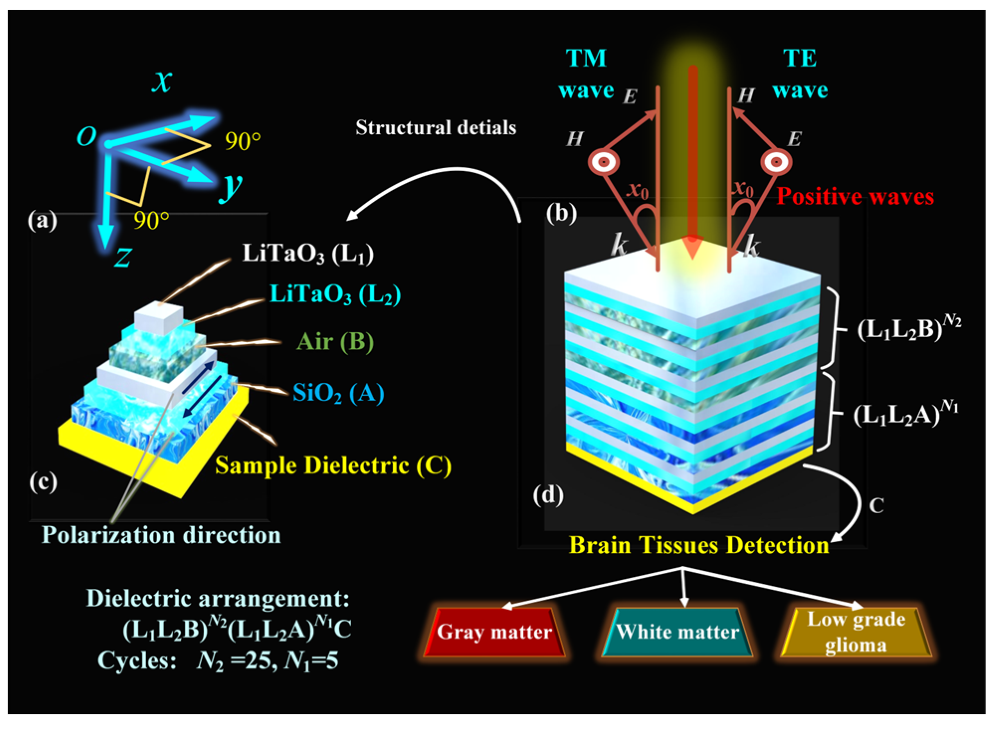 Sensors 24 03065 g001