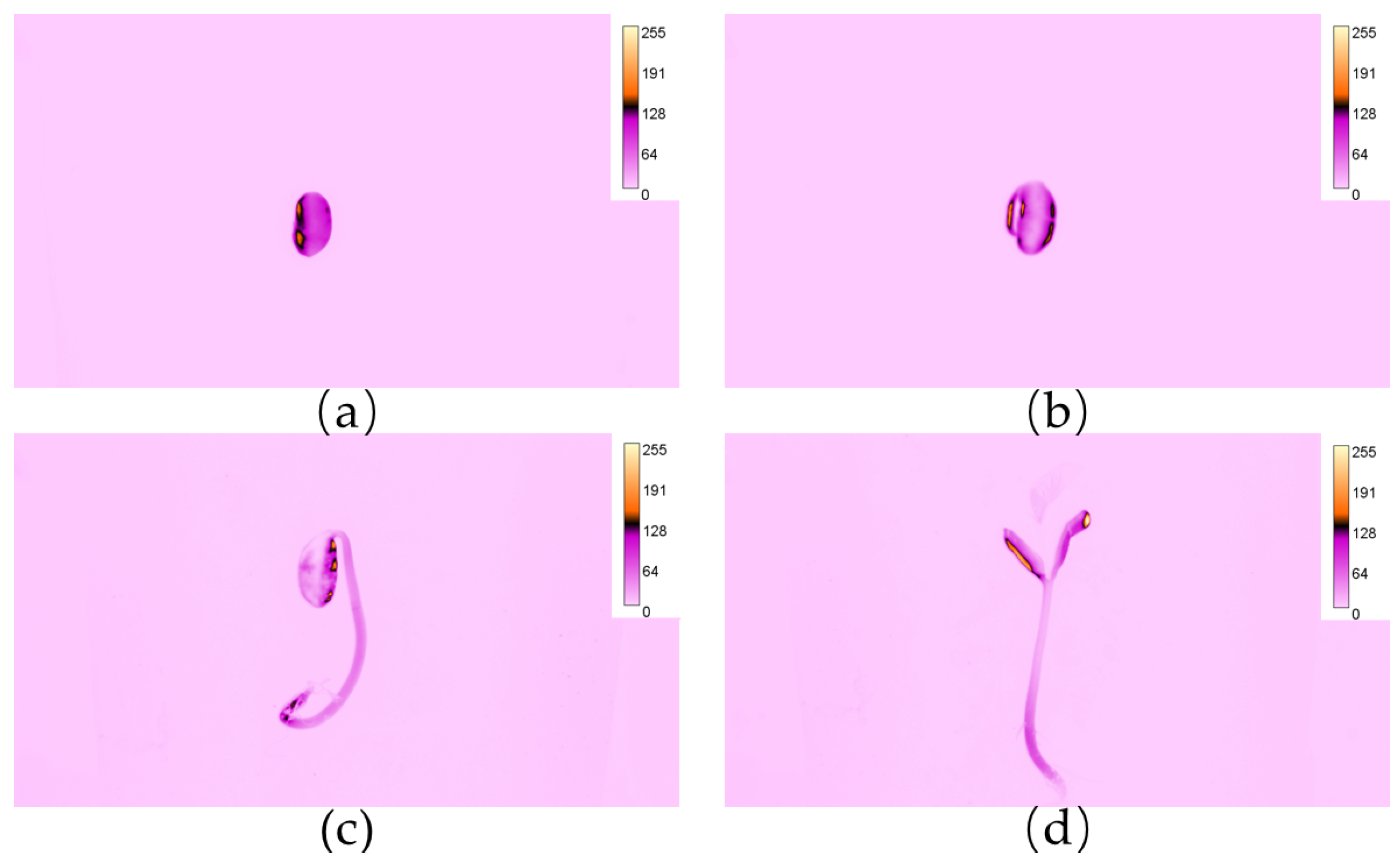 Sensors 24 03066 g005