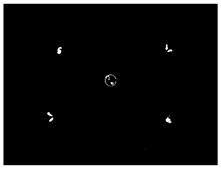 Sensors 24 03066 i002