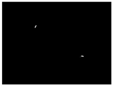 Sensors 24 03066 i009