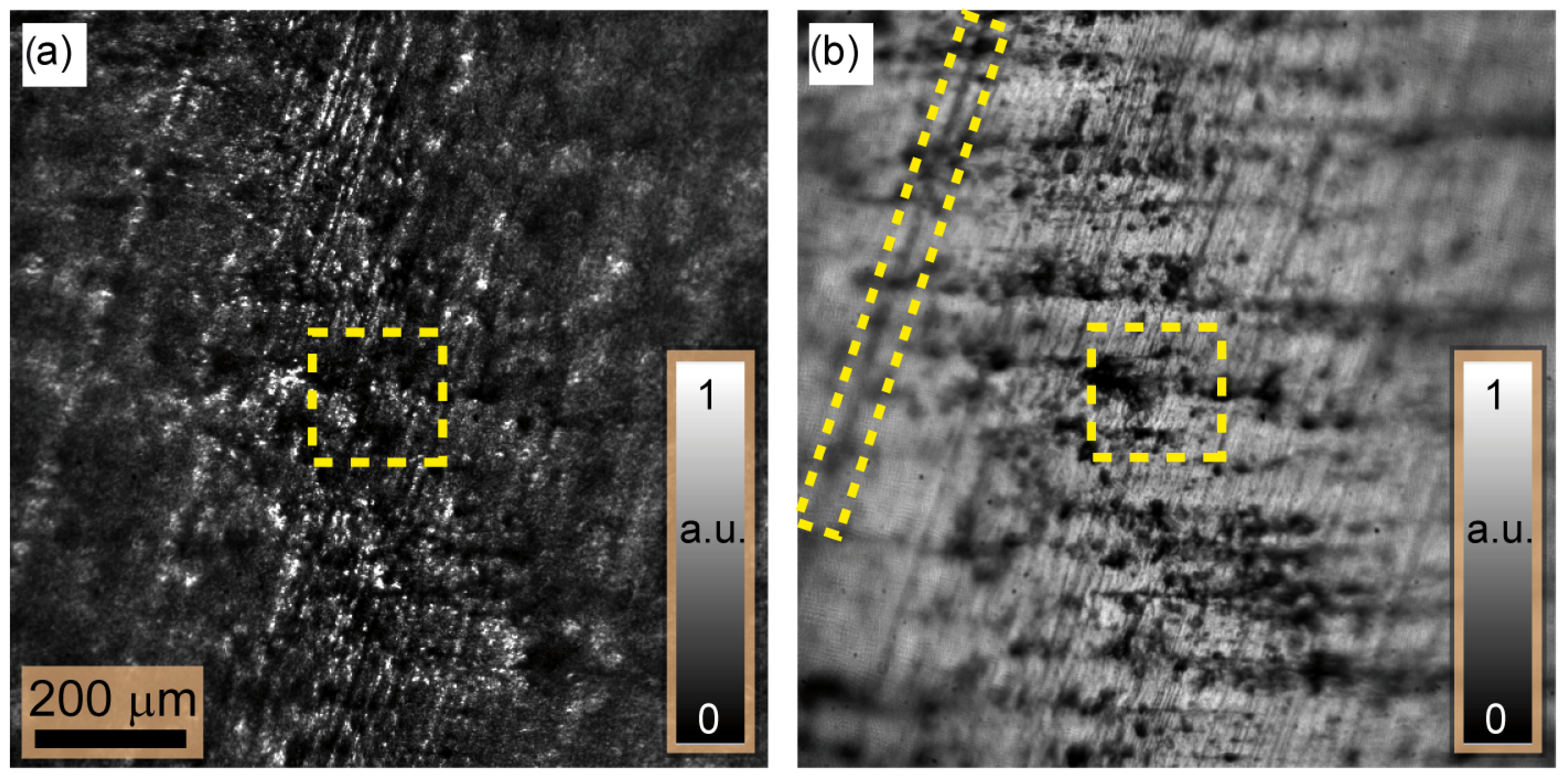 Sensors 24 03072 g004