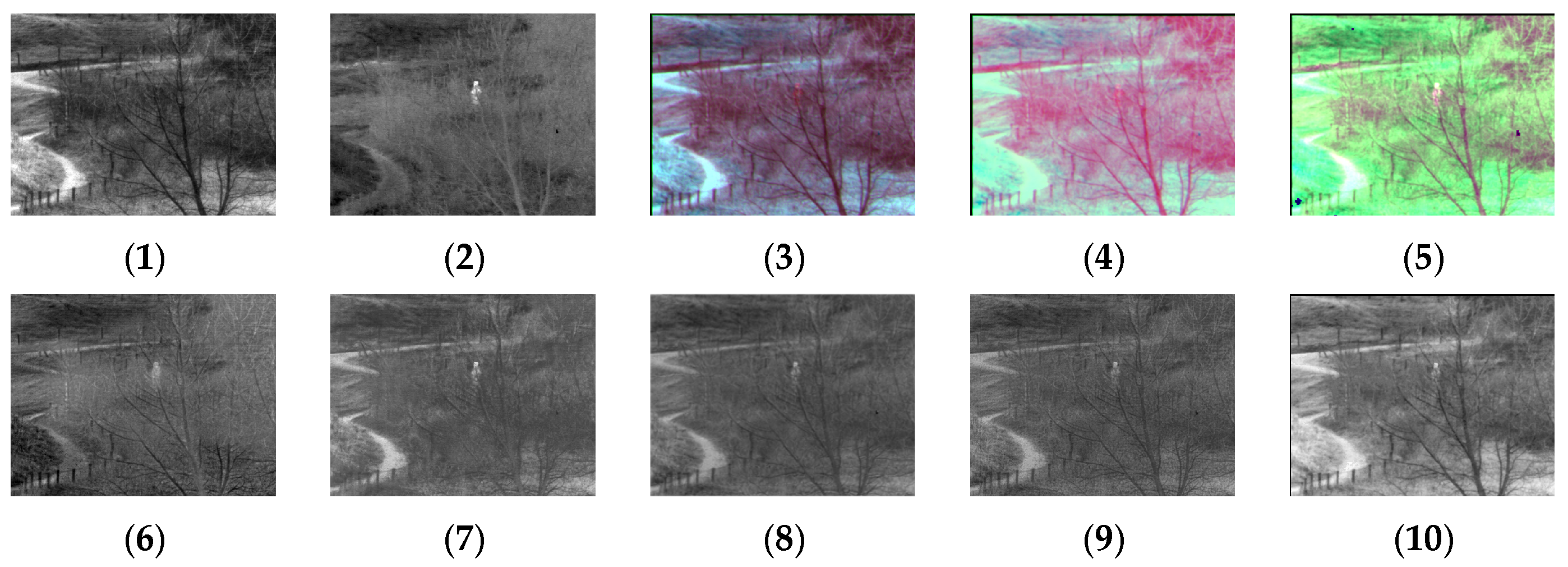 Sensors 24 03077 g010