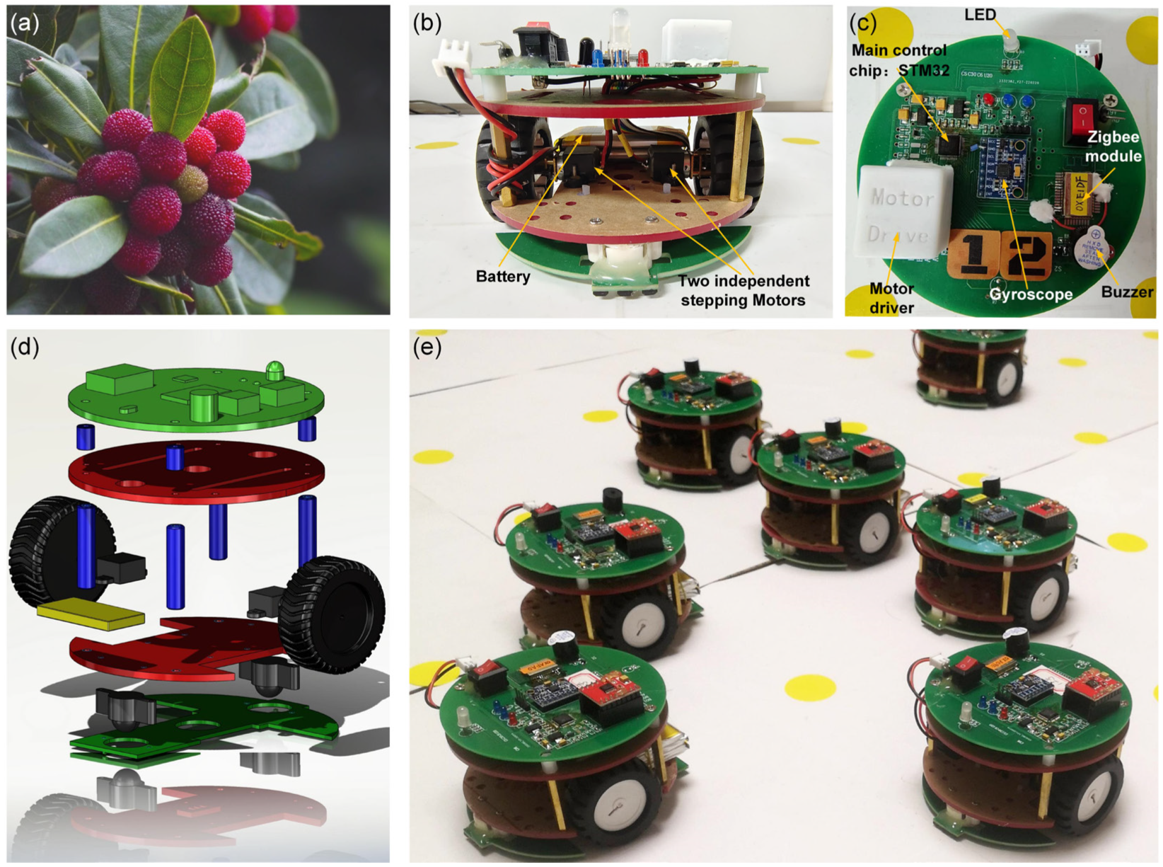 Sensors 24 03081 g008