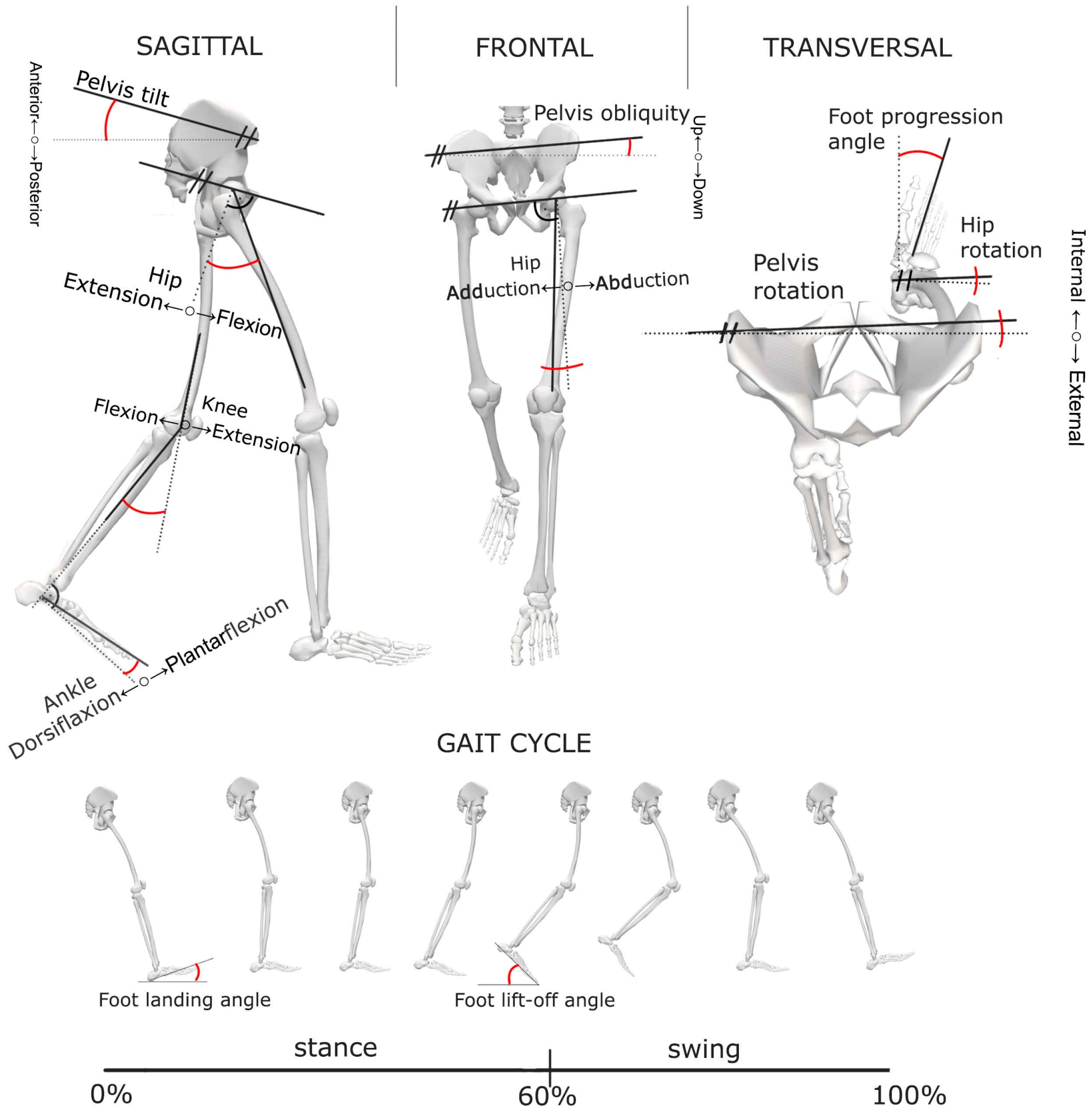 Sensors 24 03091 g0a1