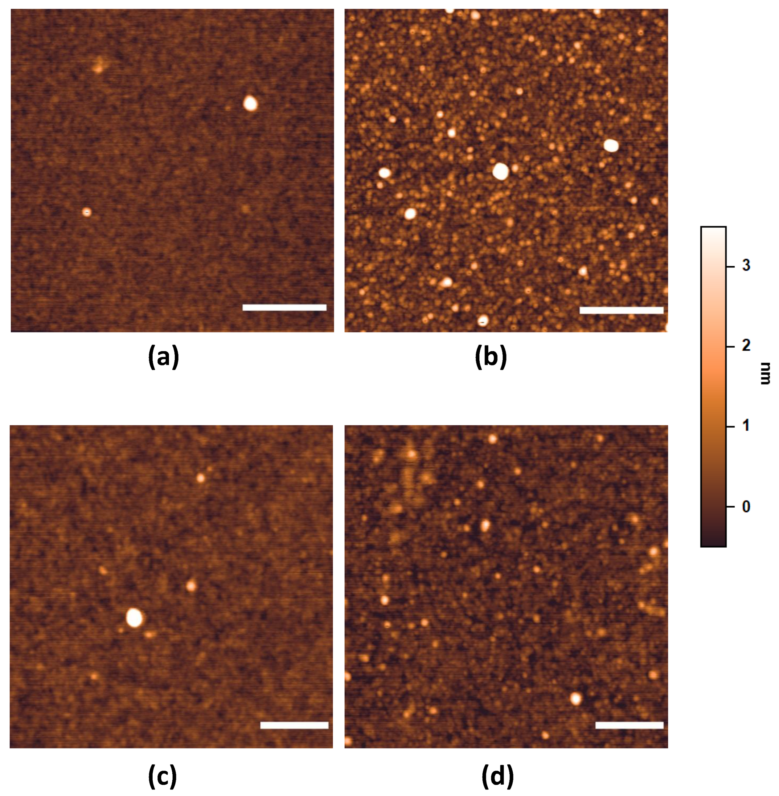 Sensors 24 03107 g003