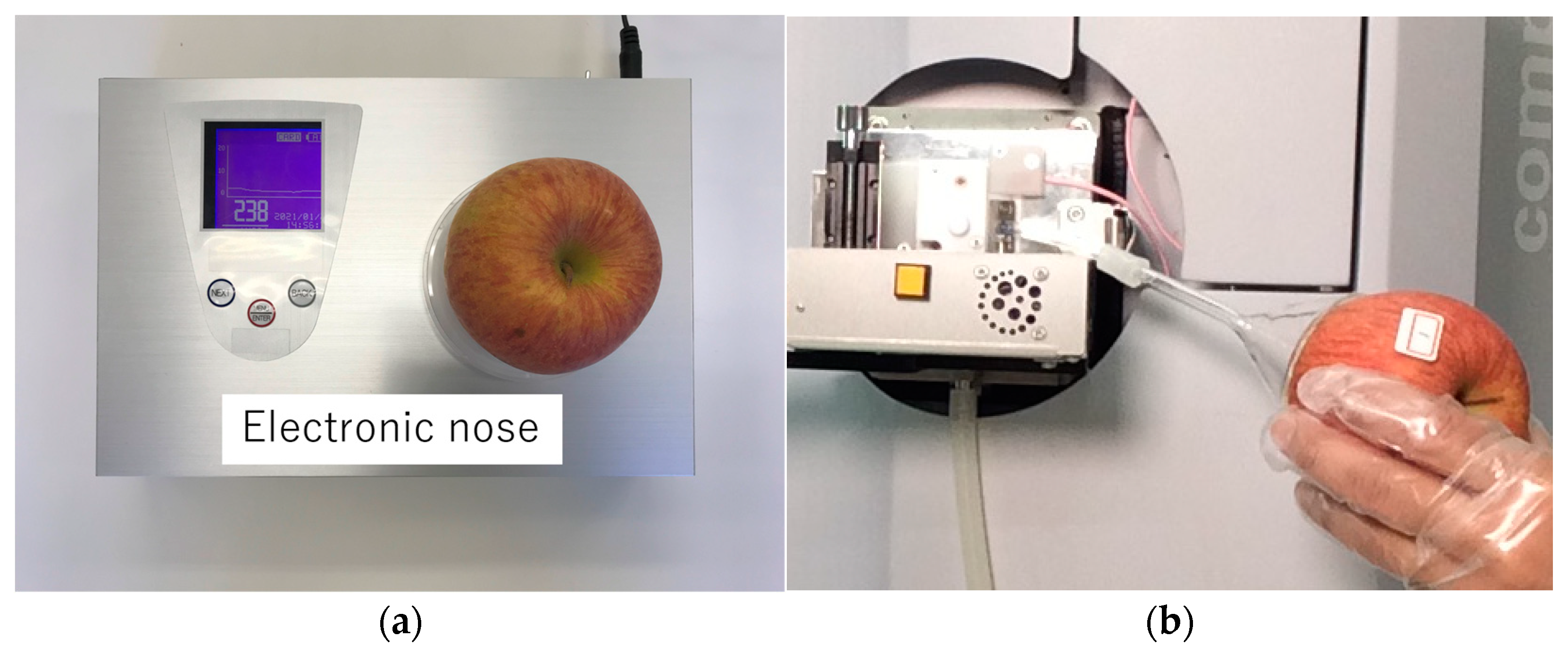 Sensors 24 03114 g001 Sensors 24 03114 g001