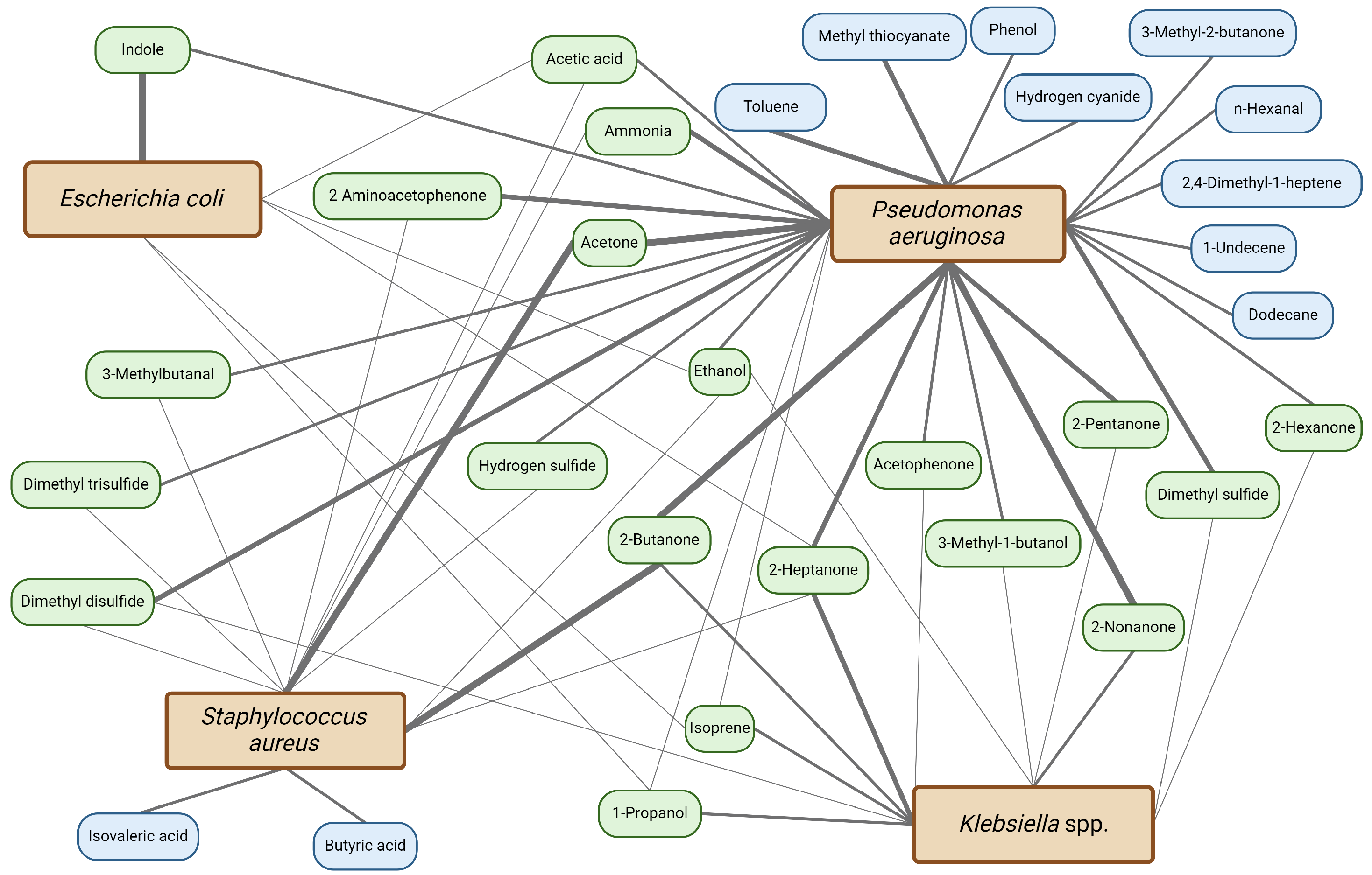 Sensors 24 03162 g002
