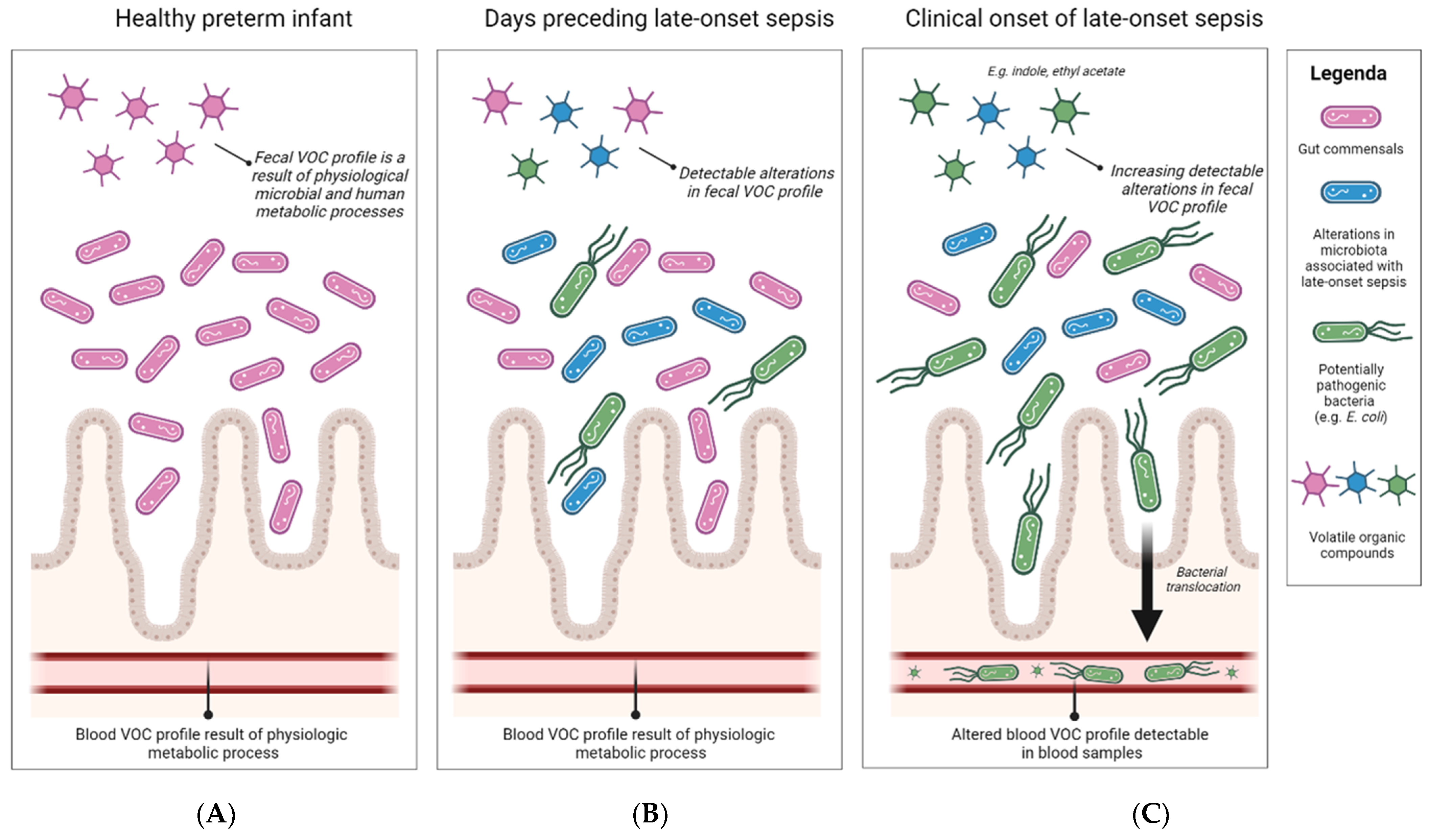 Sensors 24 03162 g003
