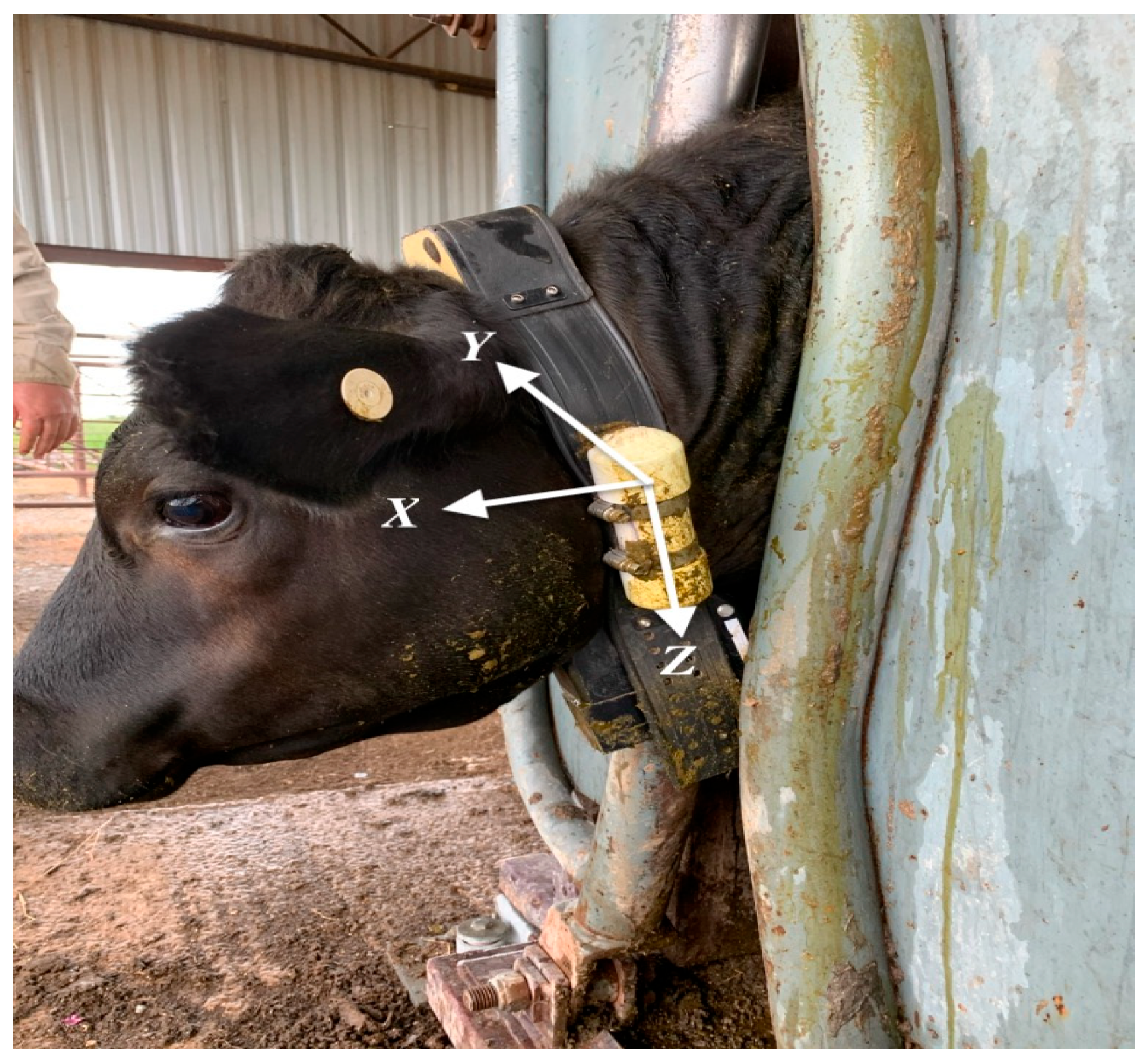 Sensors 24 03171 g001