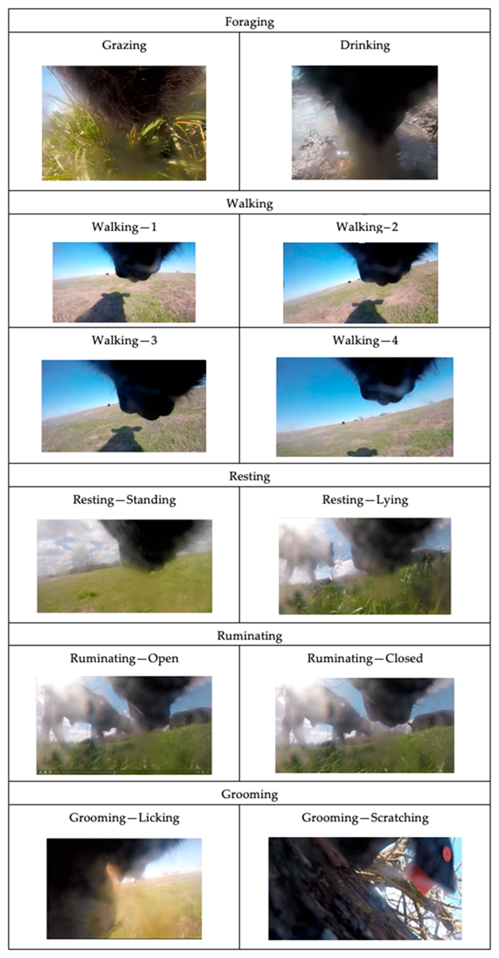 Sensors 24 03171 g004