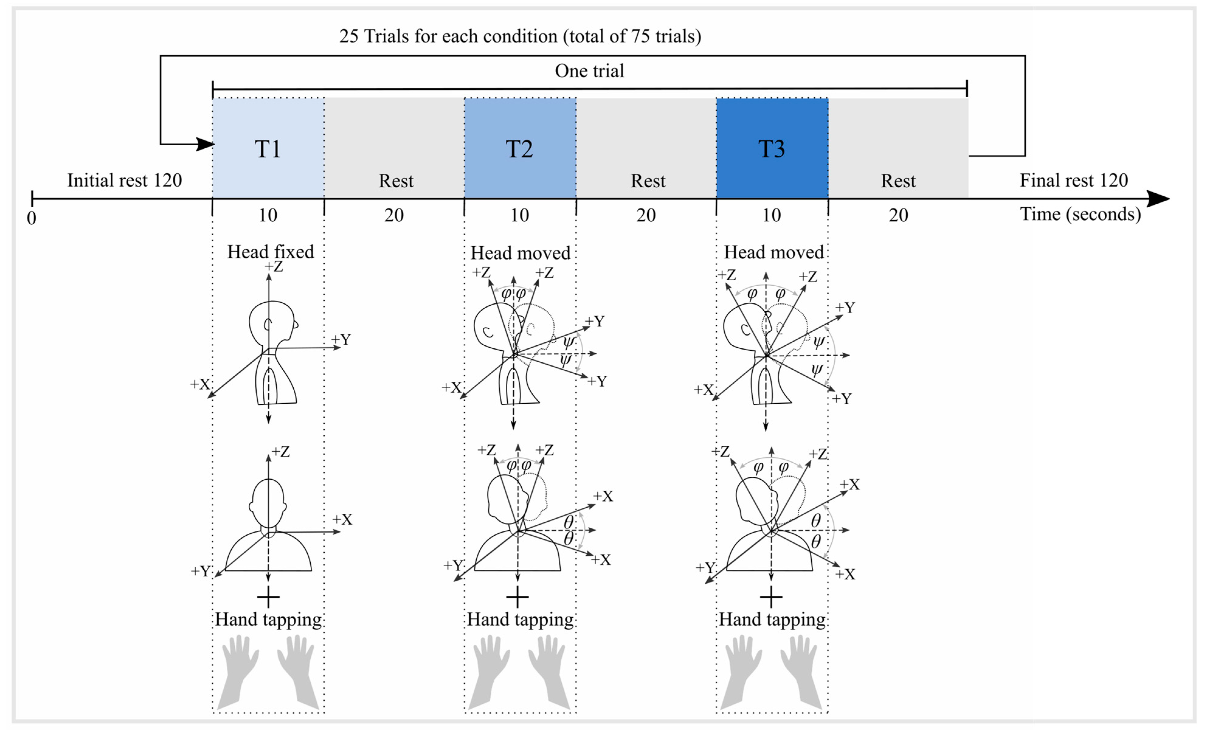 Sensors 24 03173 g002