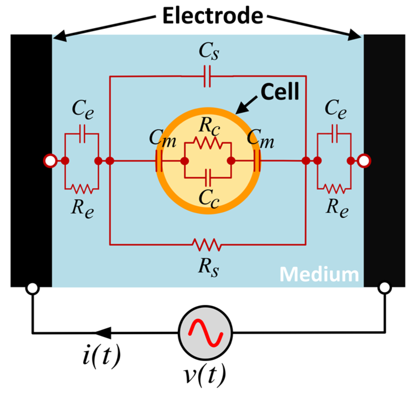 Sensors 24 03186 g001