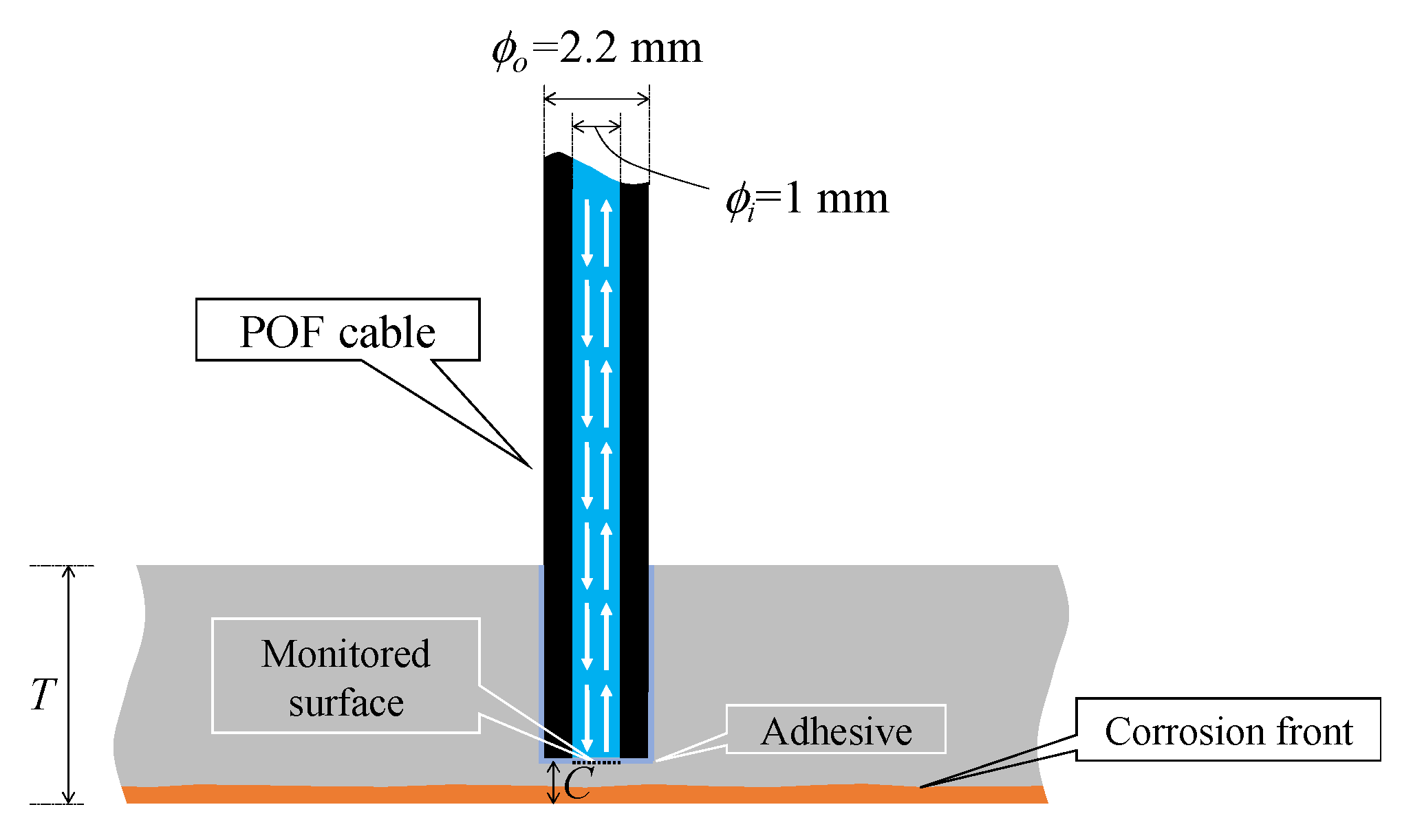 Sensors 24 03229 g002