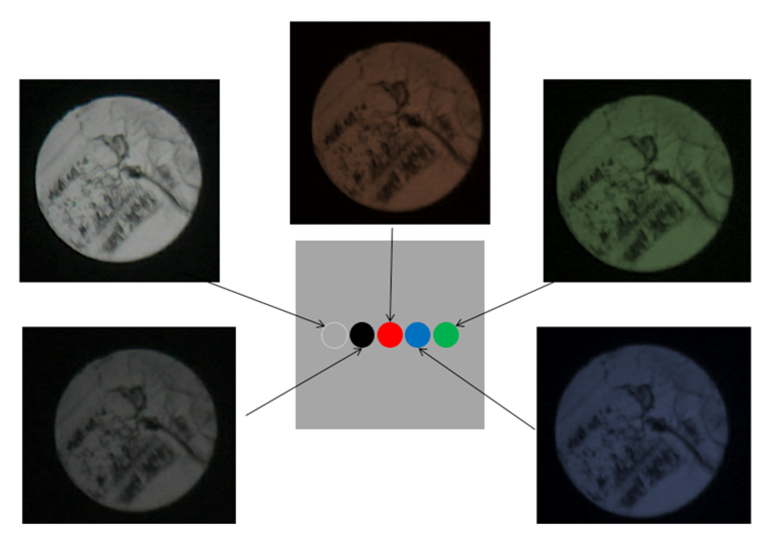 Sensors 24 03229 g013