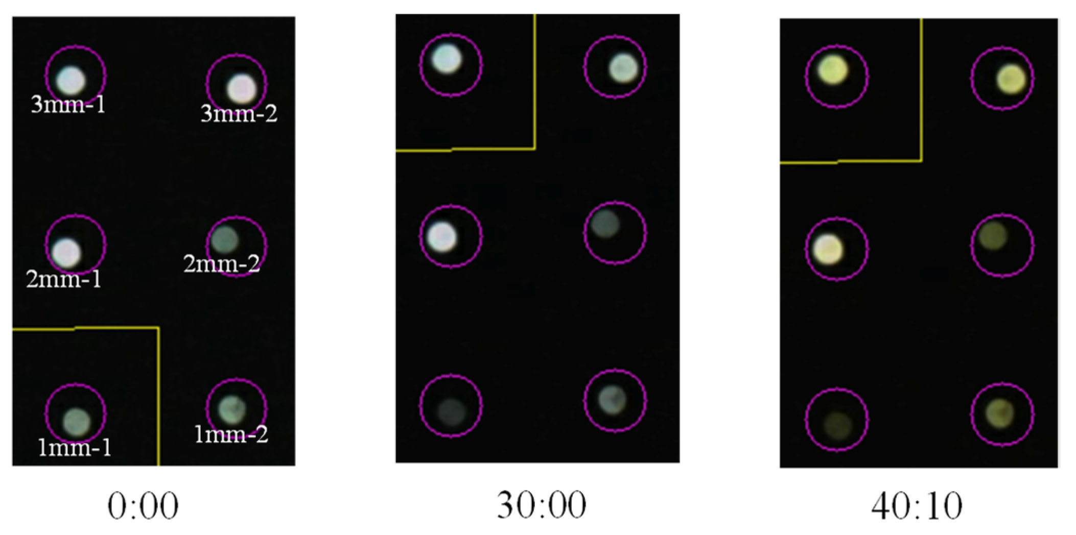 Sensors 24 03229 g027
