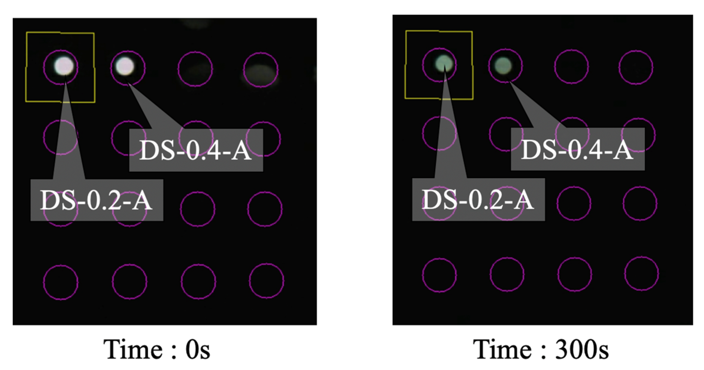 Sensors 24 03229 g037