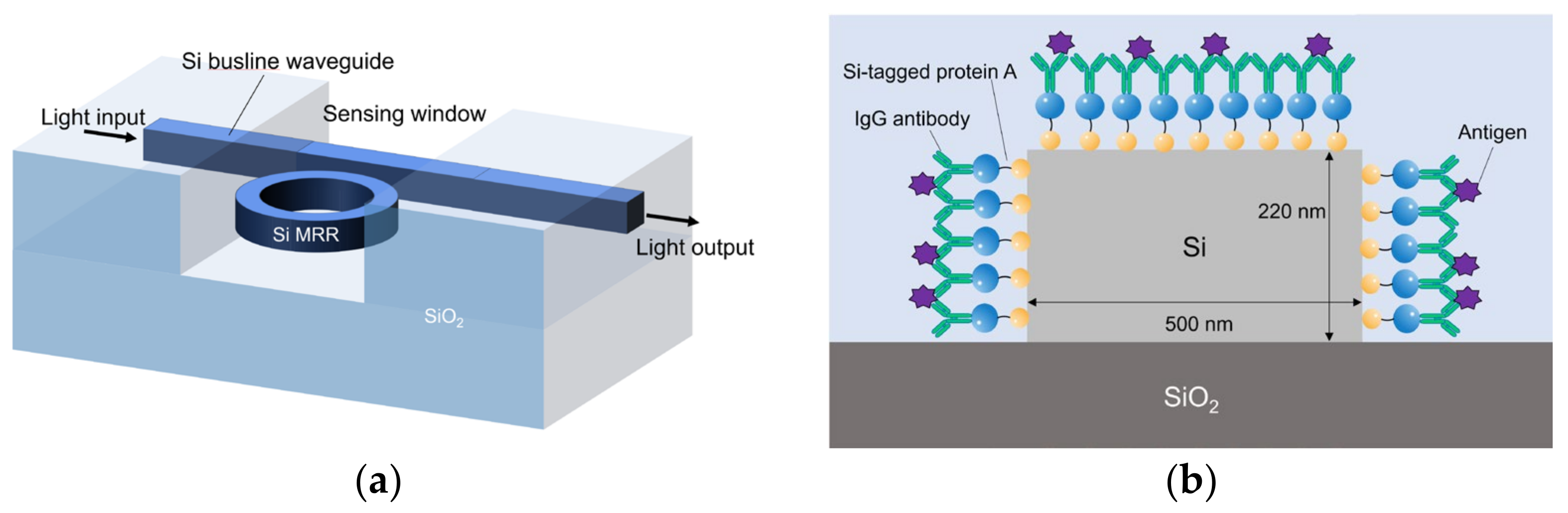 Sensors 24 03250 g001 Sensors 24 03250 g001