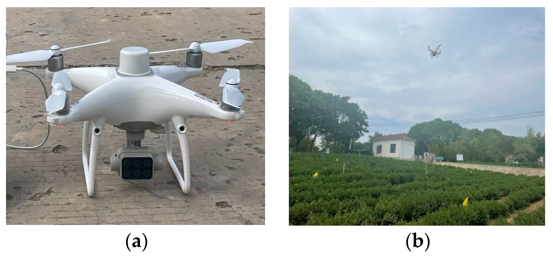 Sensors 24 03255 g002