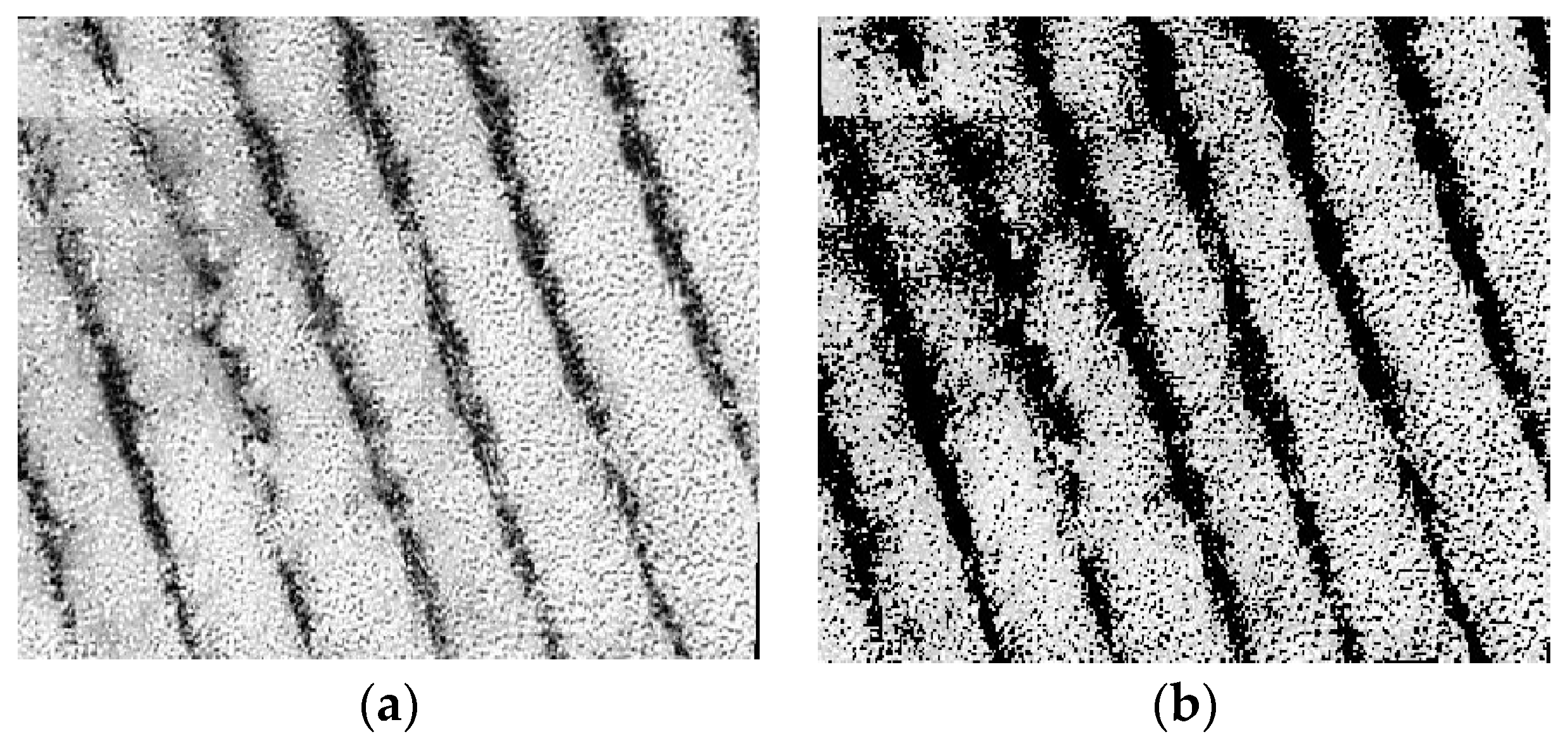 Sensors 24 03255 g006