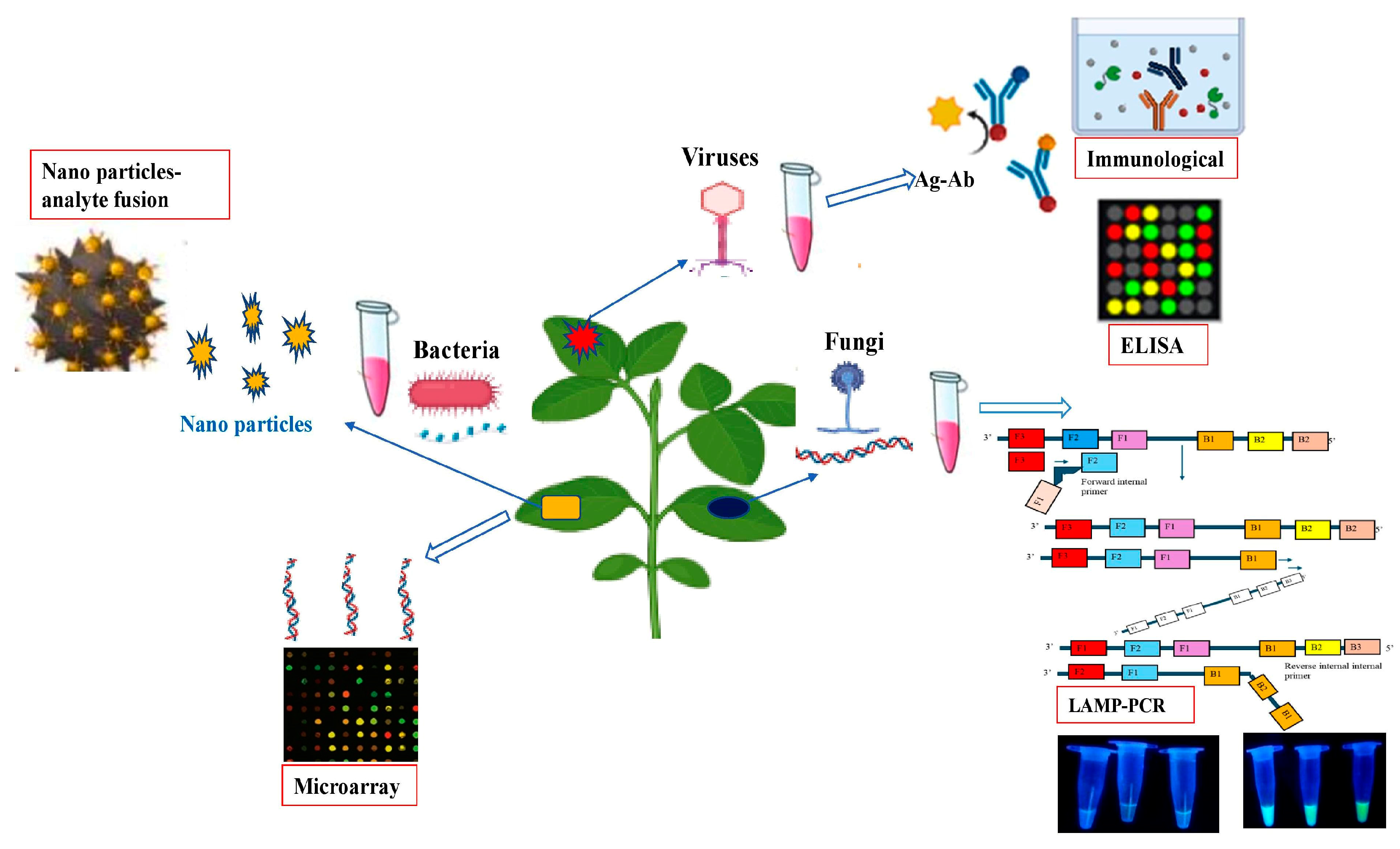 Sensors 24 03261 g004